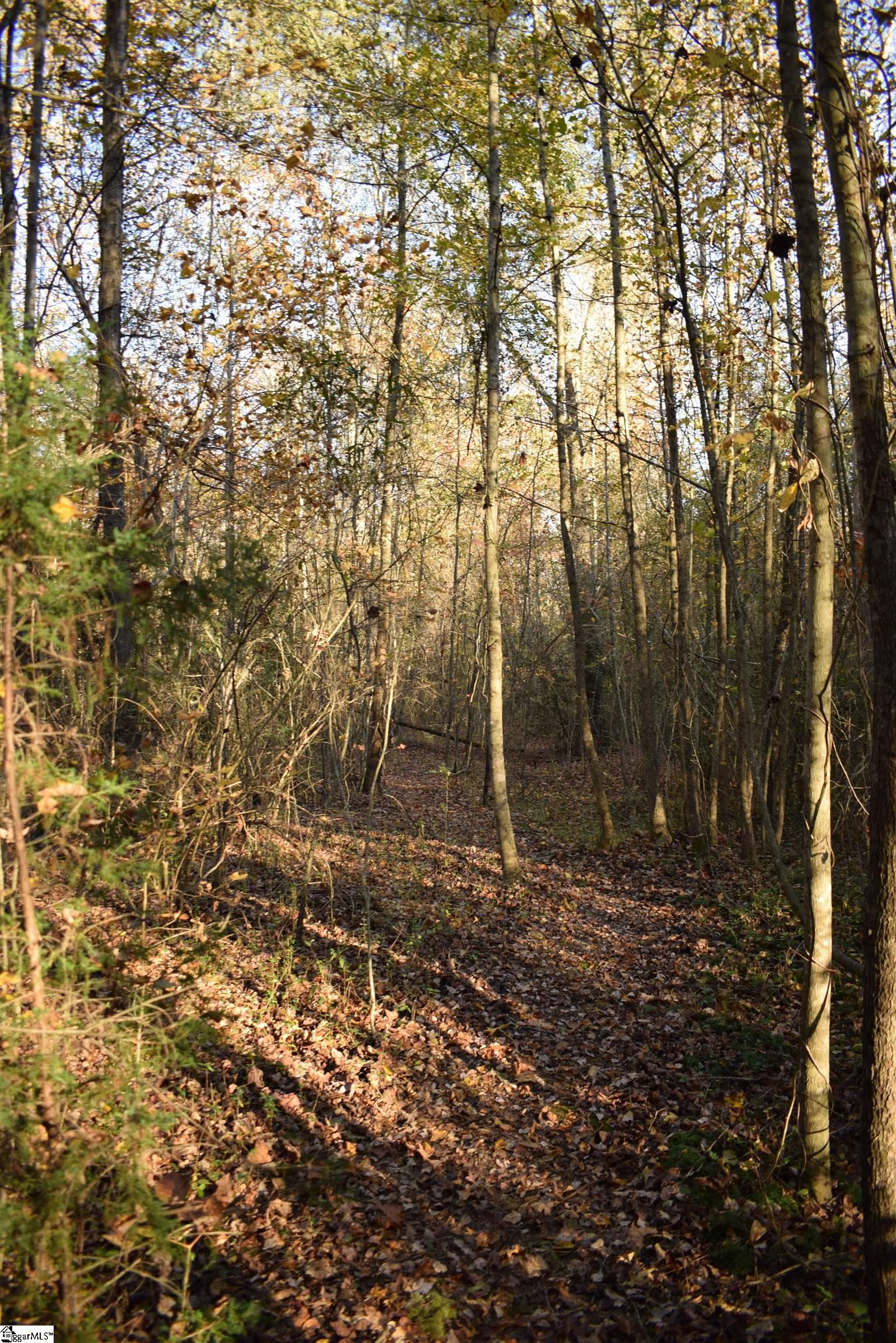 MLS #1574147 image #23