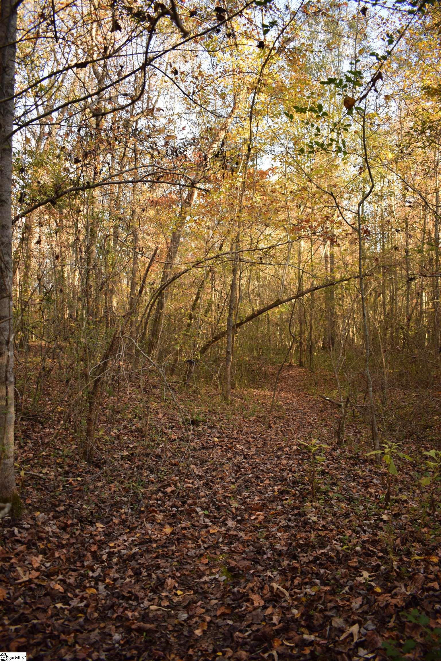 MLS #1574147 image #24