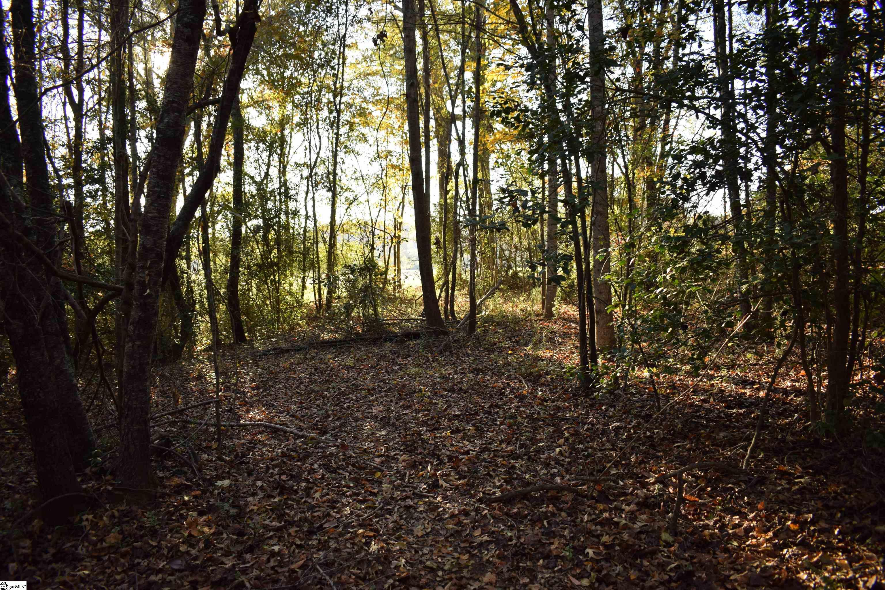 MLS #1574147 image #27