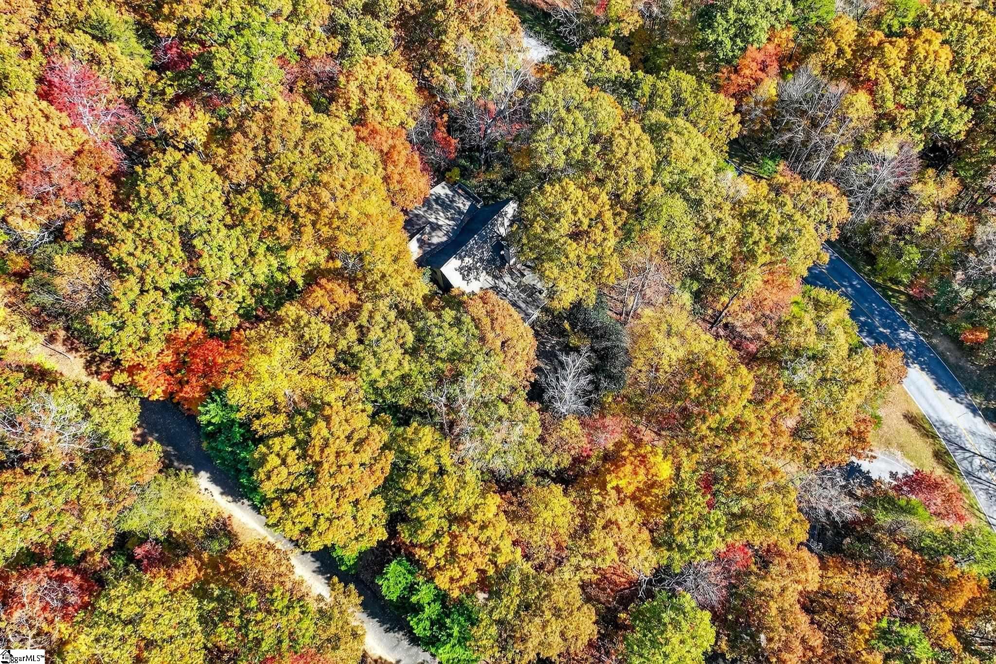 MLS #1574457 image #45