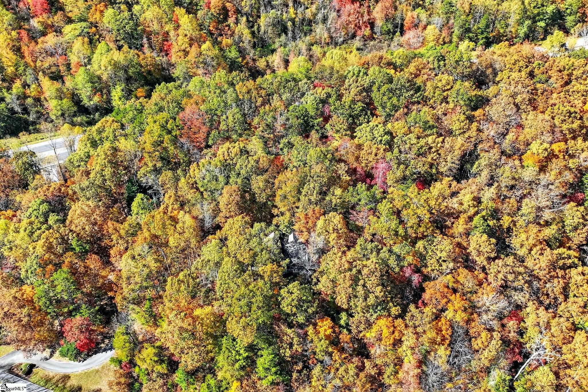 MLS #1574457 image #46