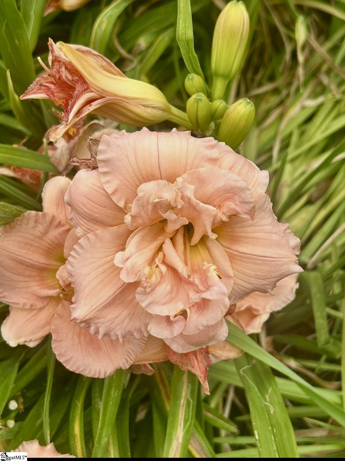 MLS #1574976 image #19