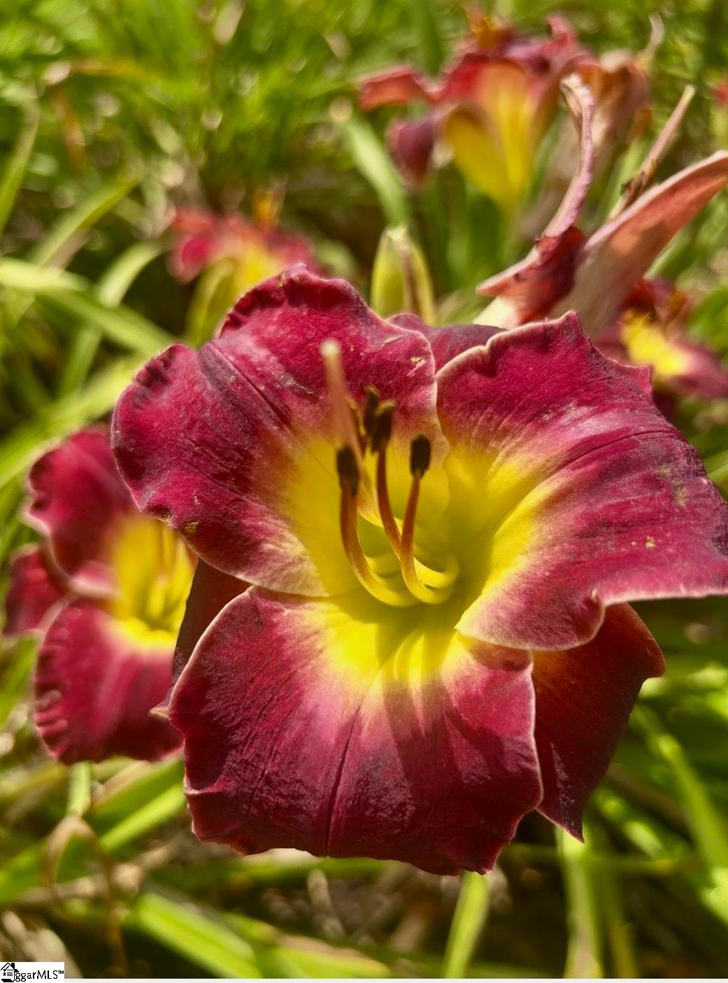 MLS #1574976 image #20