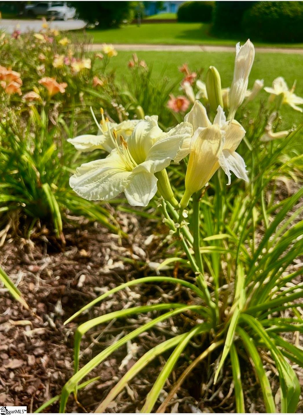 MLS #1574976 image #22