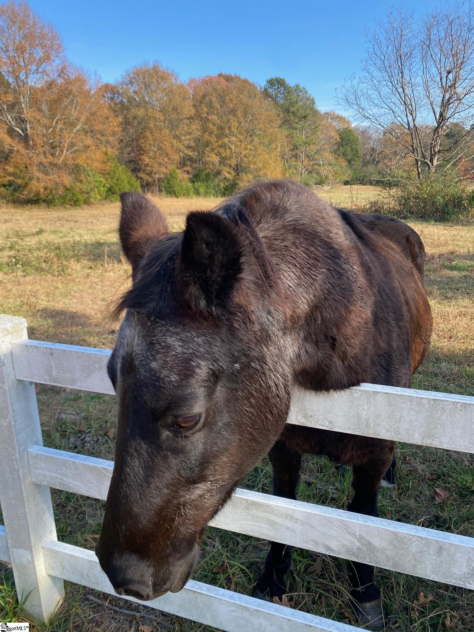 MLS #1575694 image #9