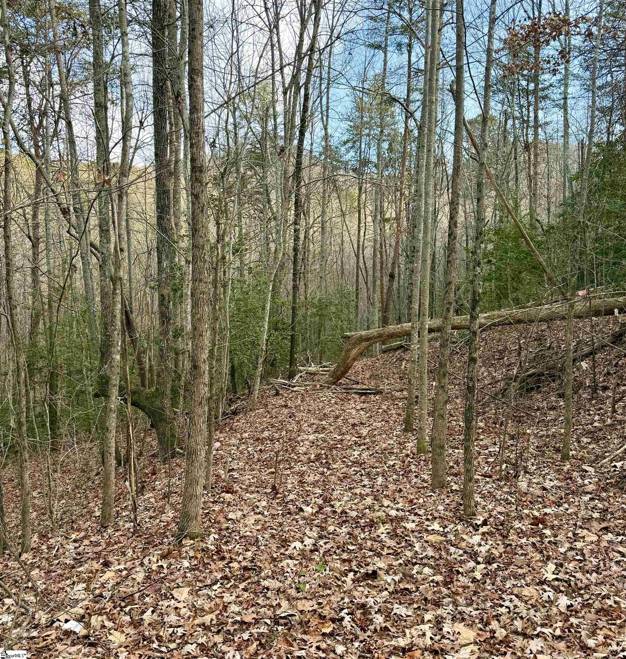 MLS #1576029 image #4