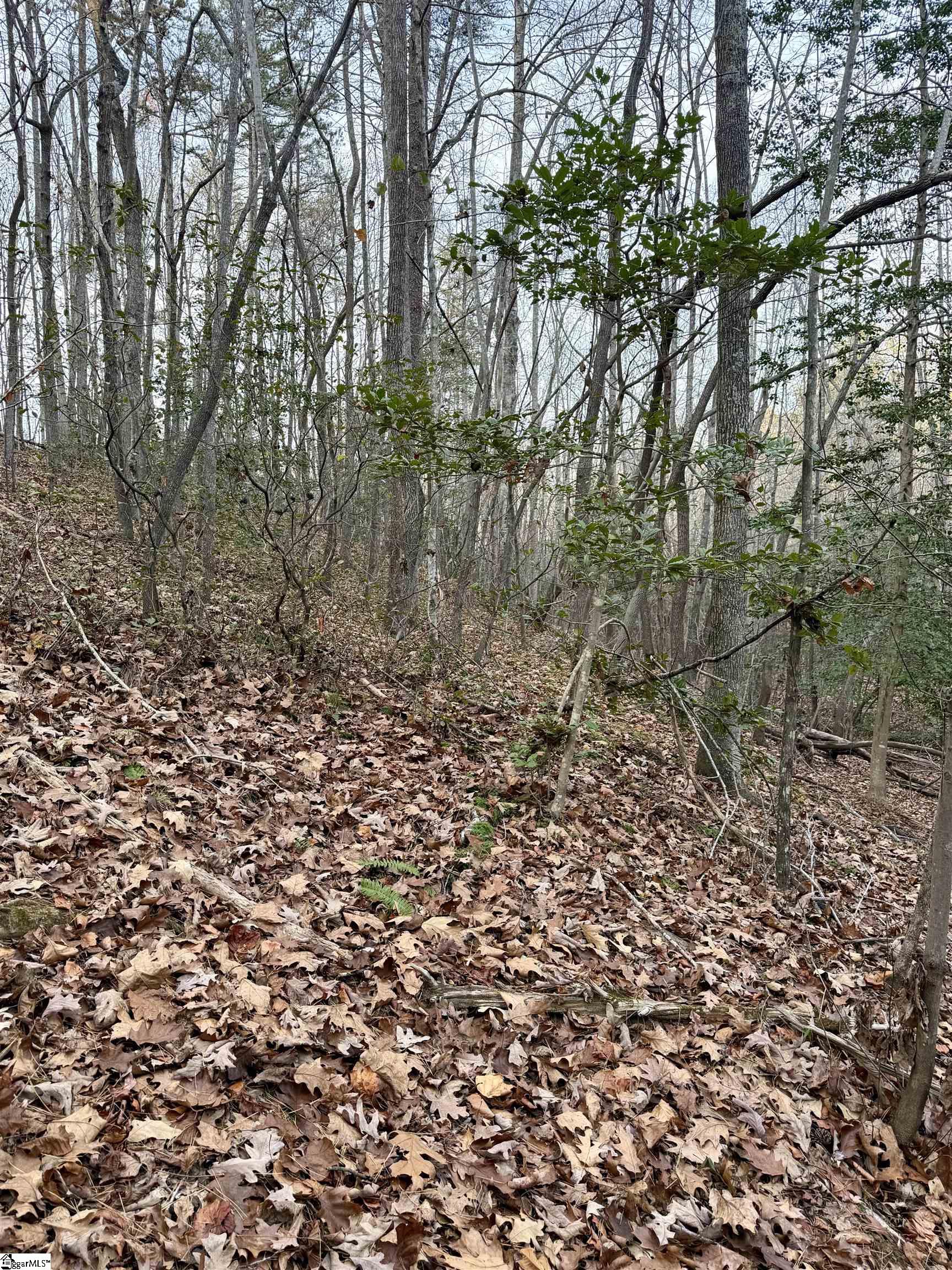 MLS #1576029 image #5