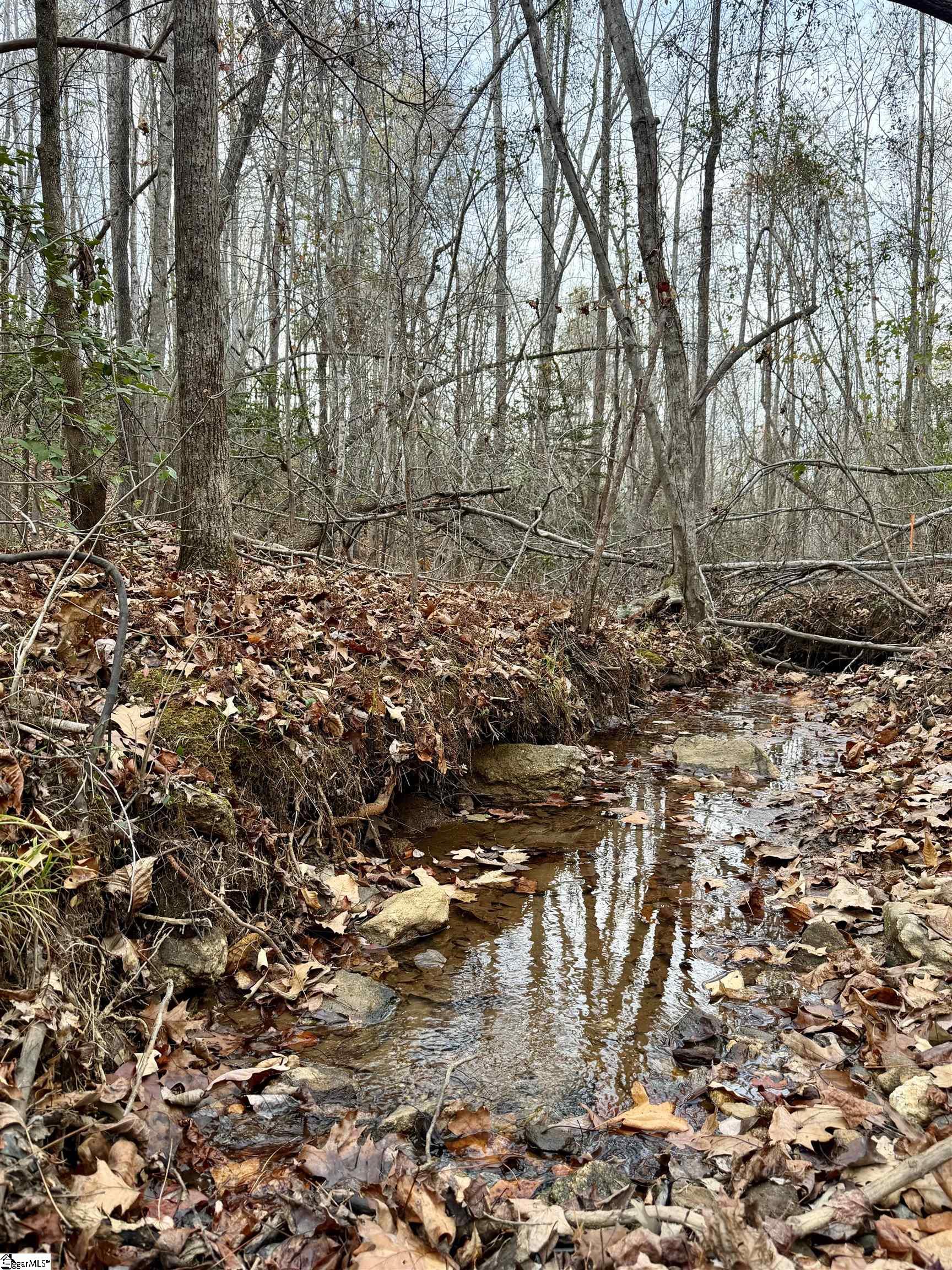 MLS #1576029 image #6