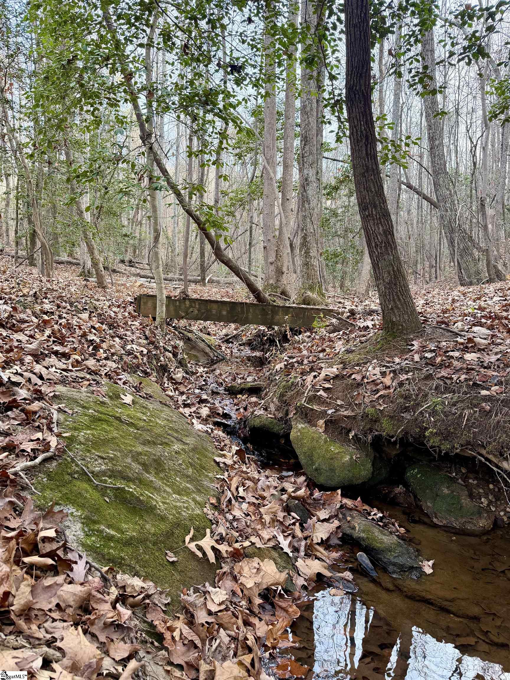 MLS #1576029 image #7