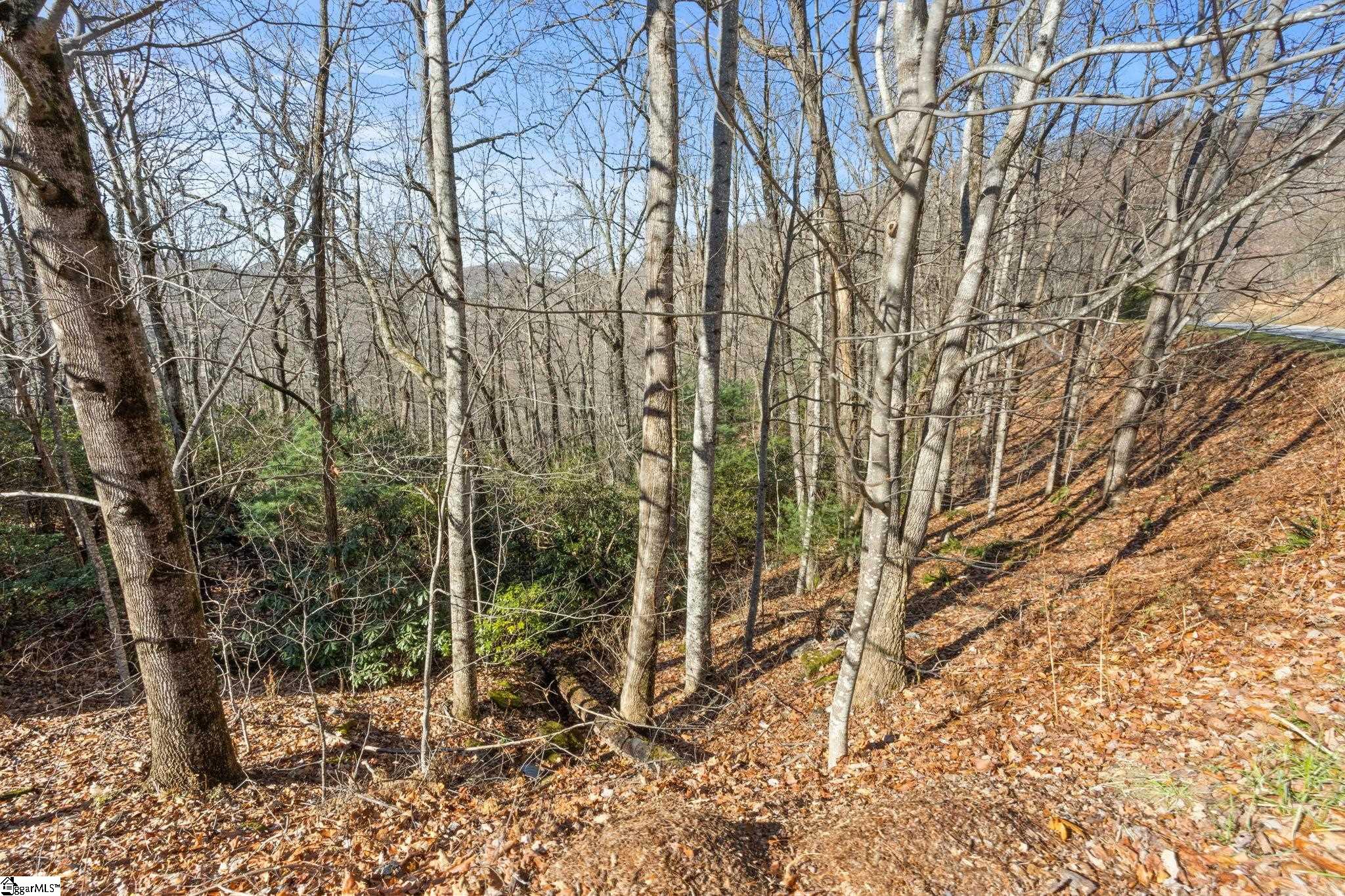 MLS #1576072 image #19