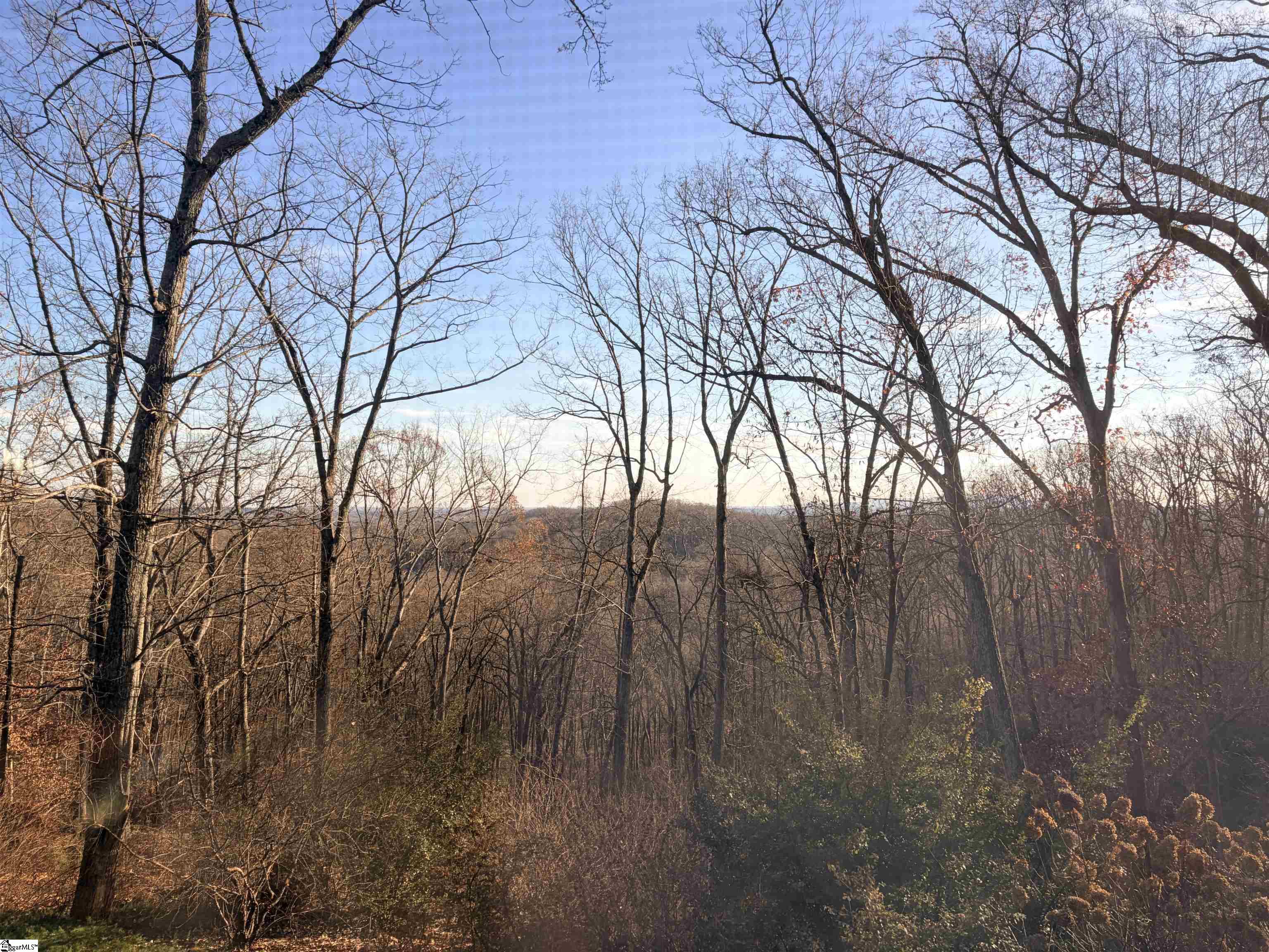 MLS #1576215 image #45