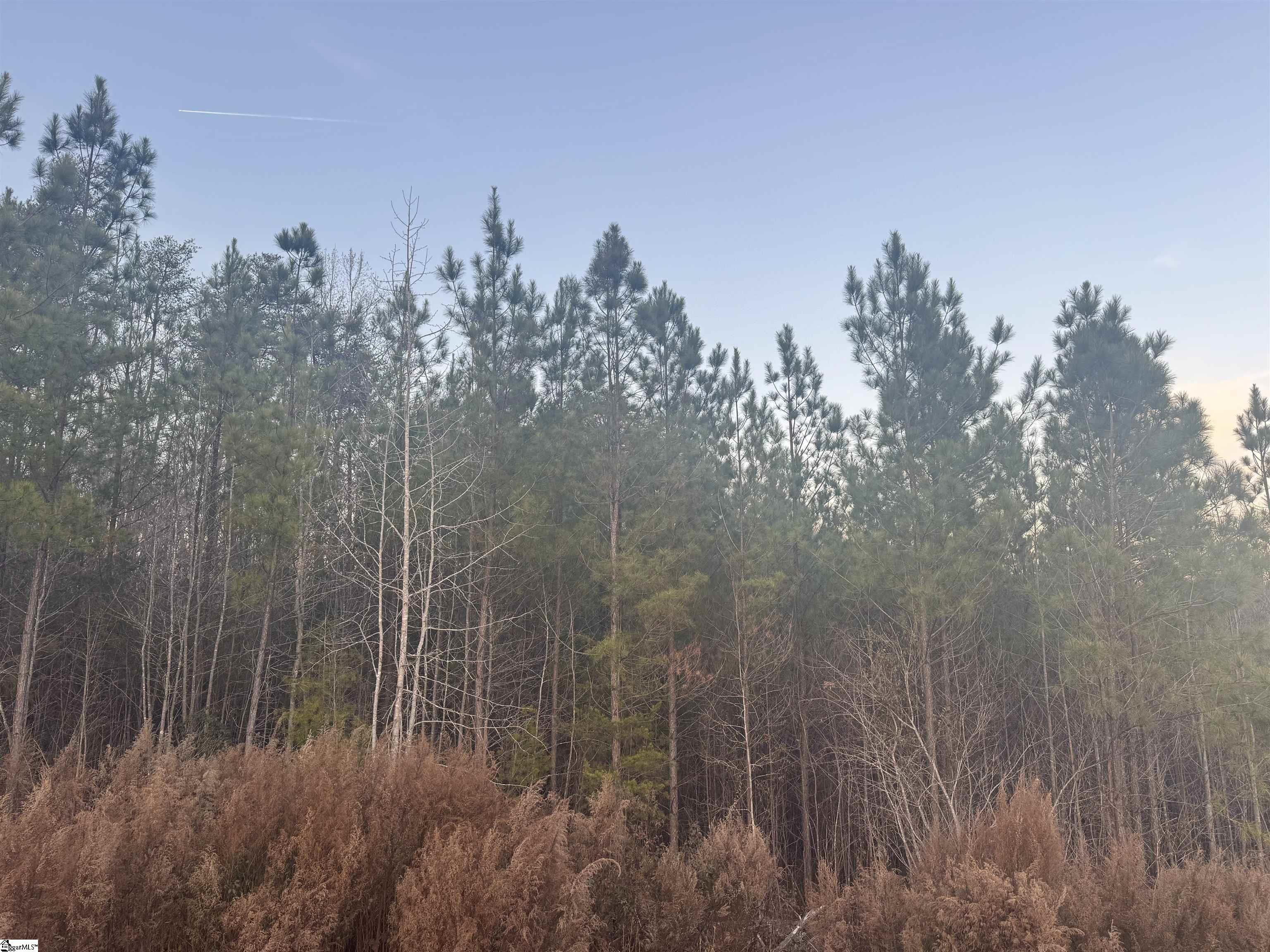 38 Old Plantation Road Travelers Rest, SC 29690