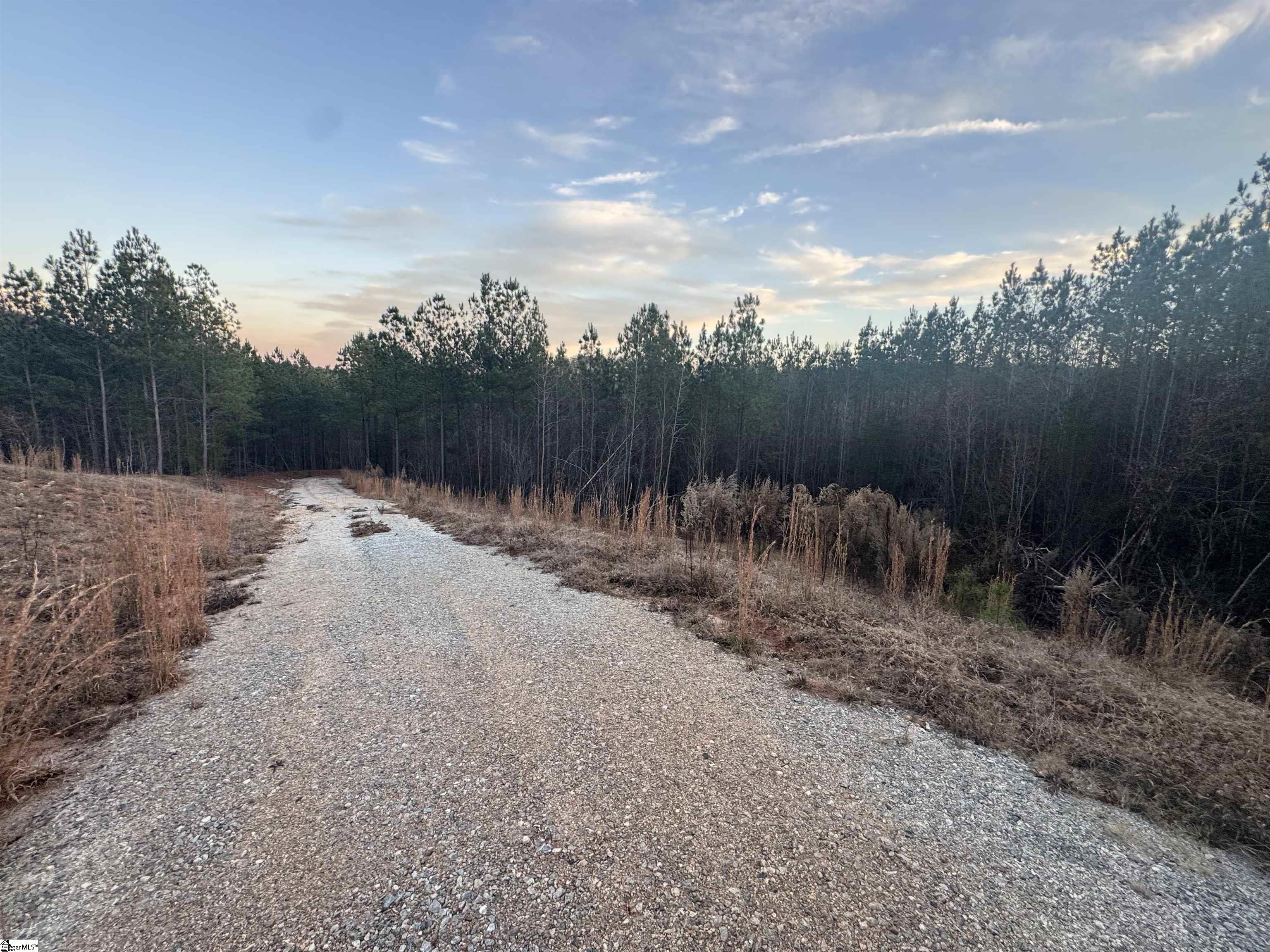 38 Old Plantation Road Travelers Rest, SC 29690