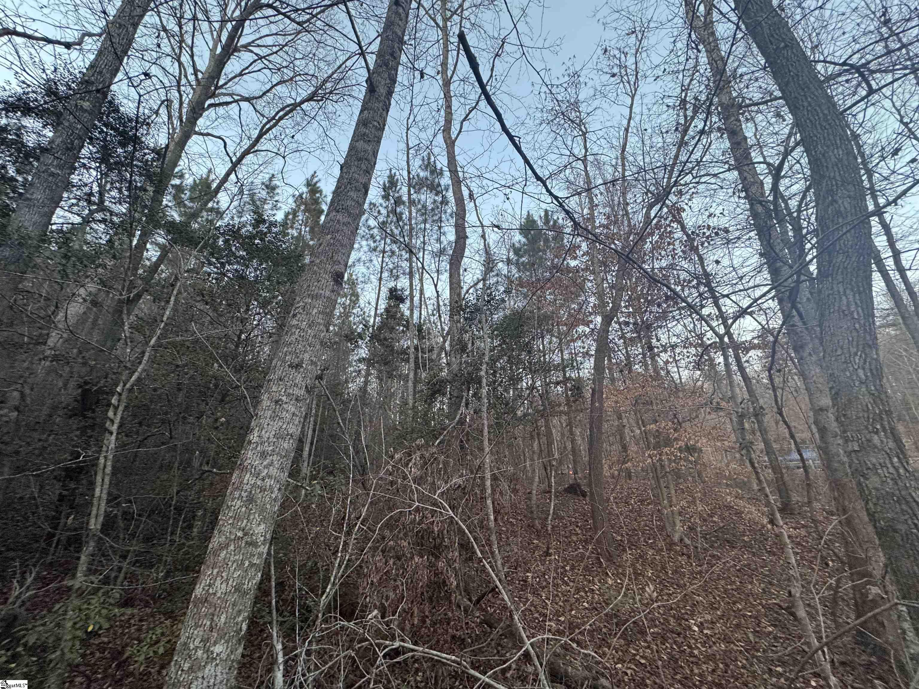 38 Old Plantation Road Travelers Rest, SC 29690