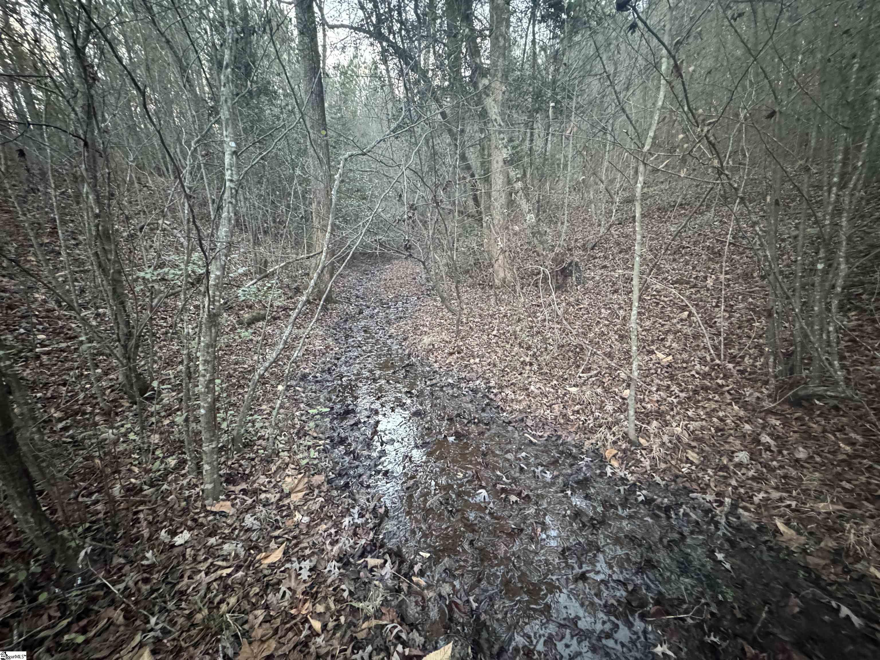 38 Old Plantation Road Travelers Rest, SC 29690