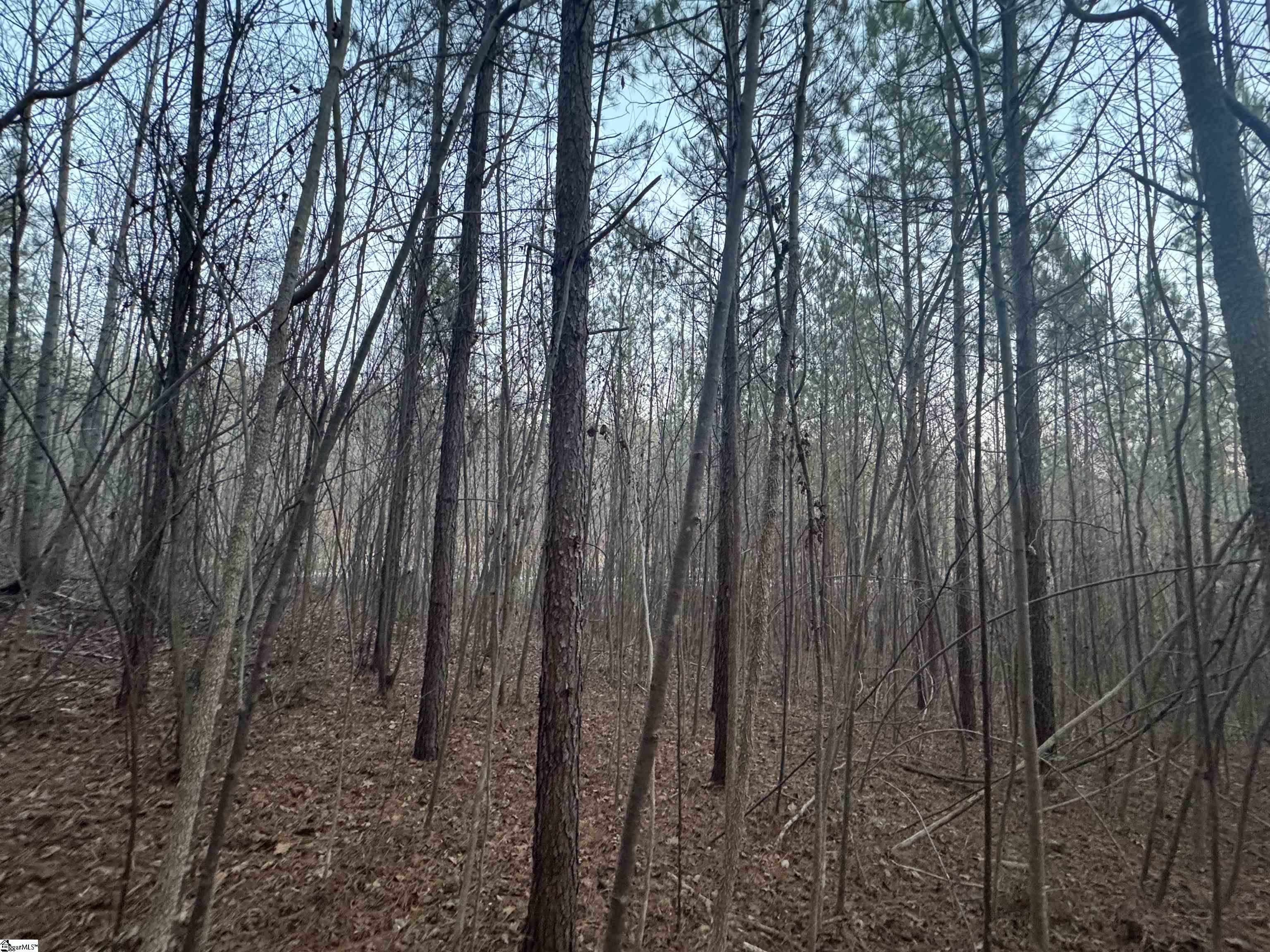 38 Old Plantation Road Travelers Rest, SC 29690