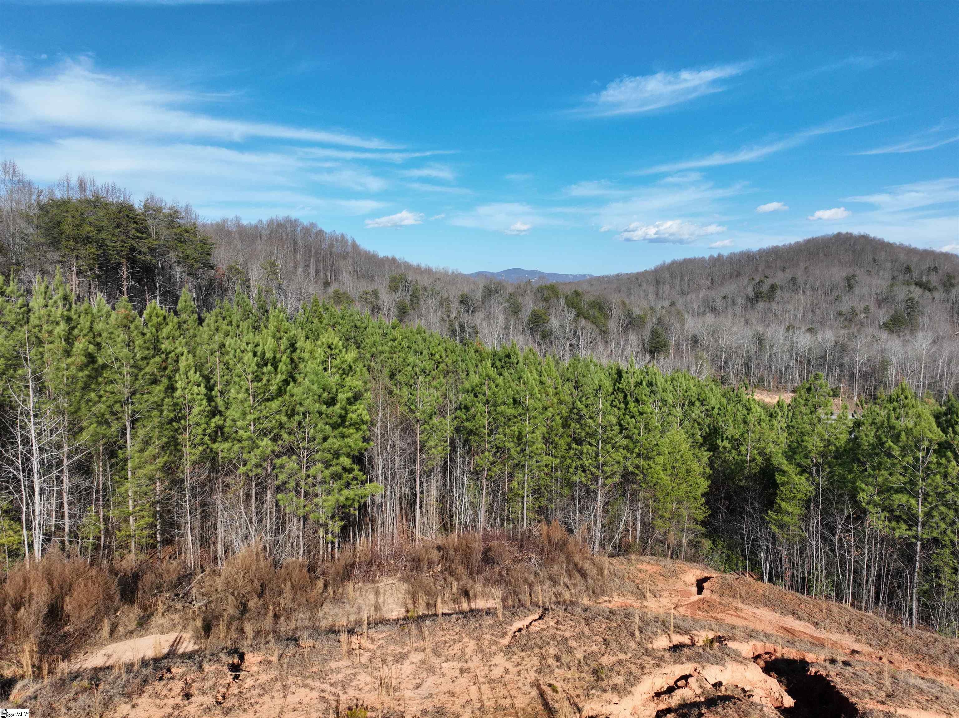 38 Old Plantation Road Travelers Rest, SC 29690