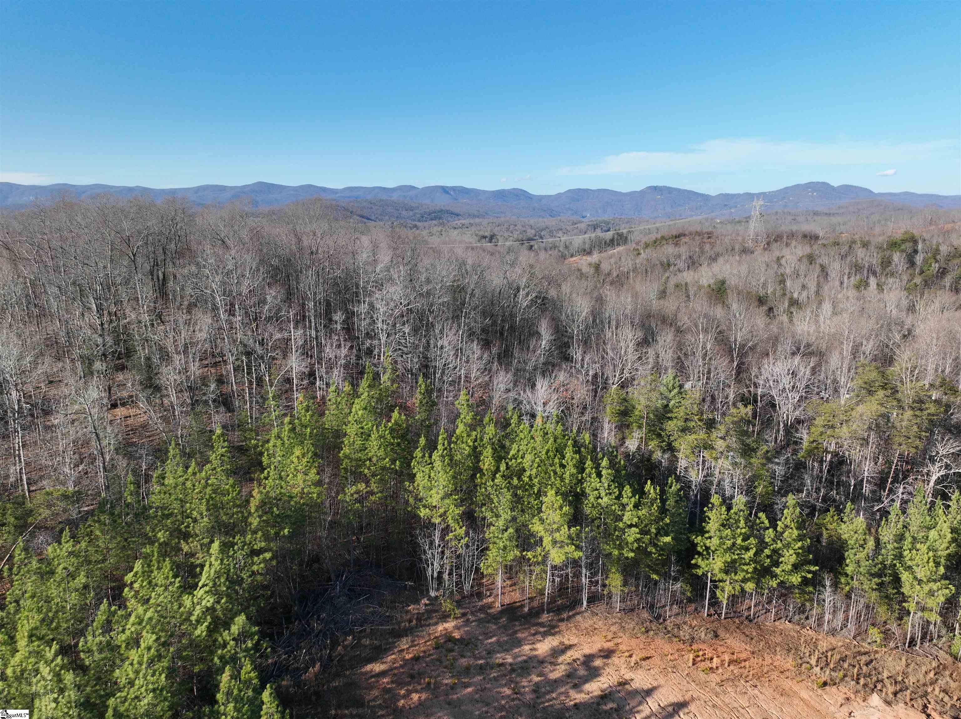 38 Old Plantation Road Travelers Rest, SC 29690
