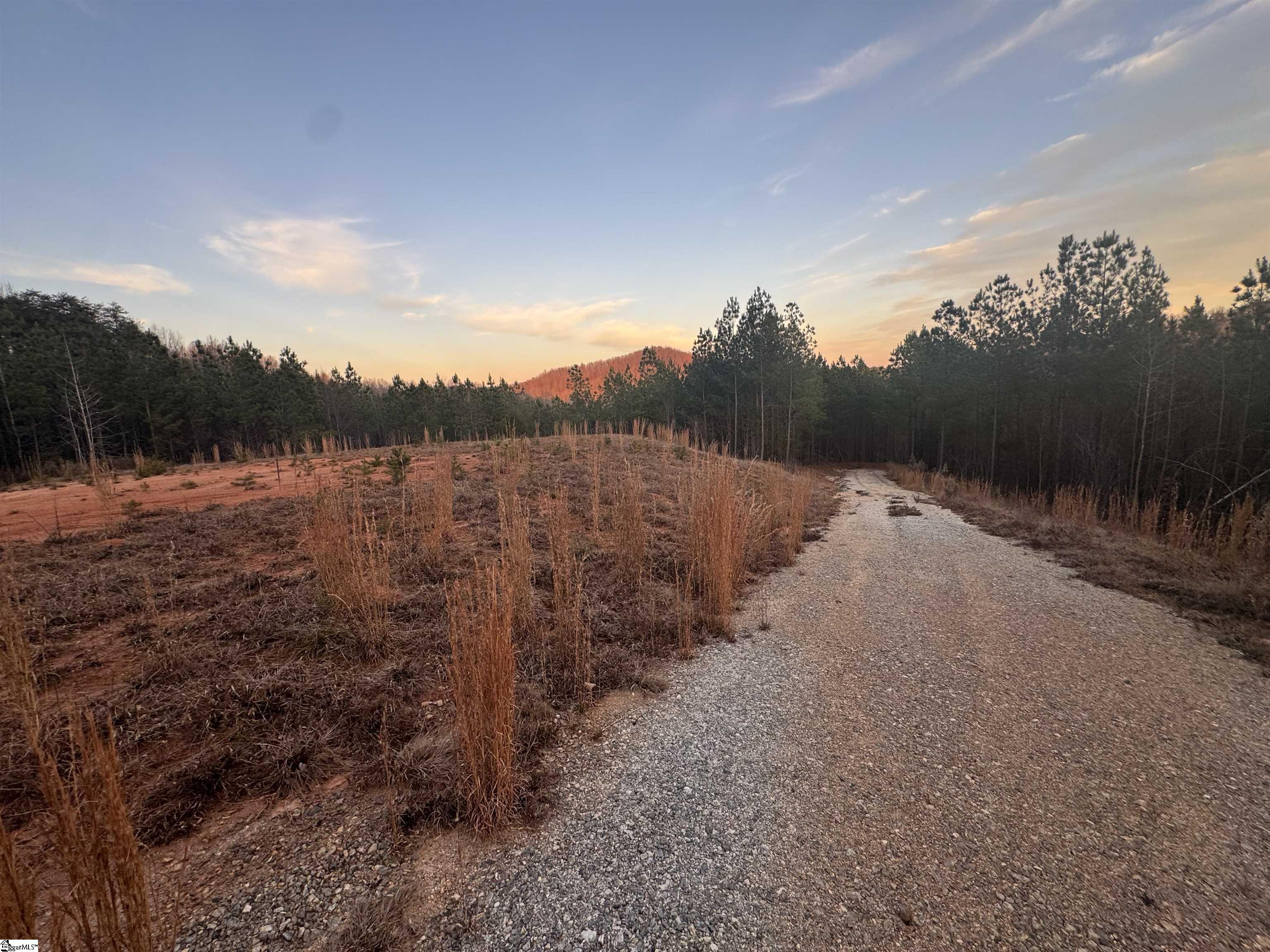 38 Old Plantation Road Travelers Rest, SC 29690