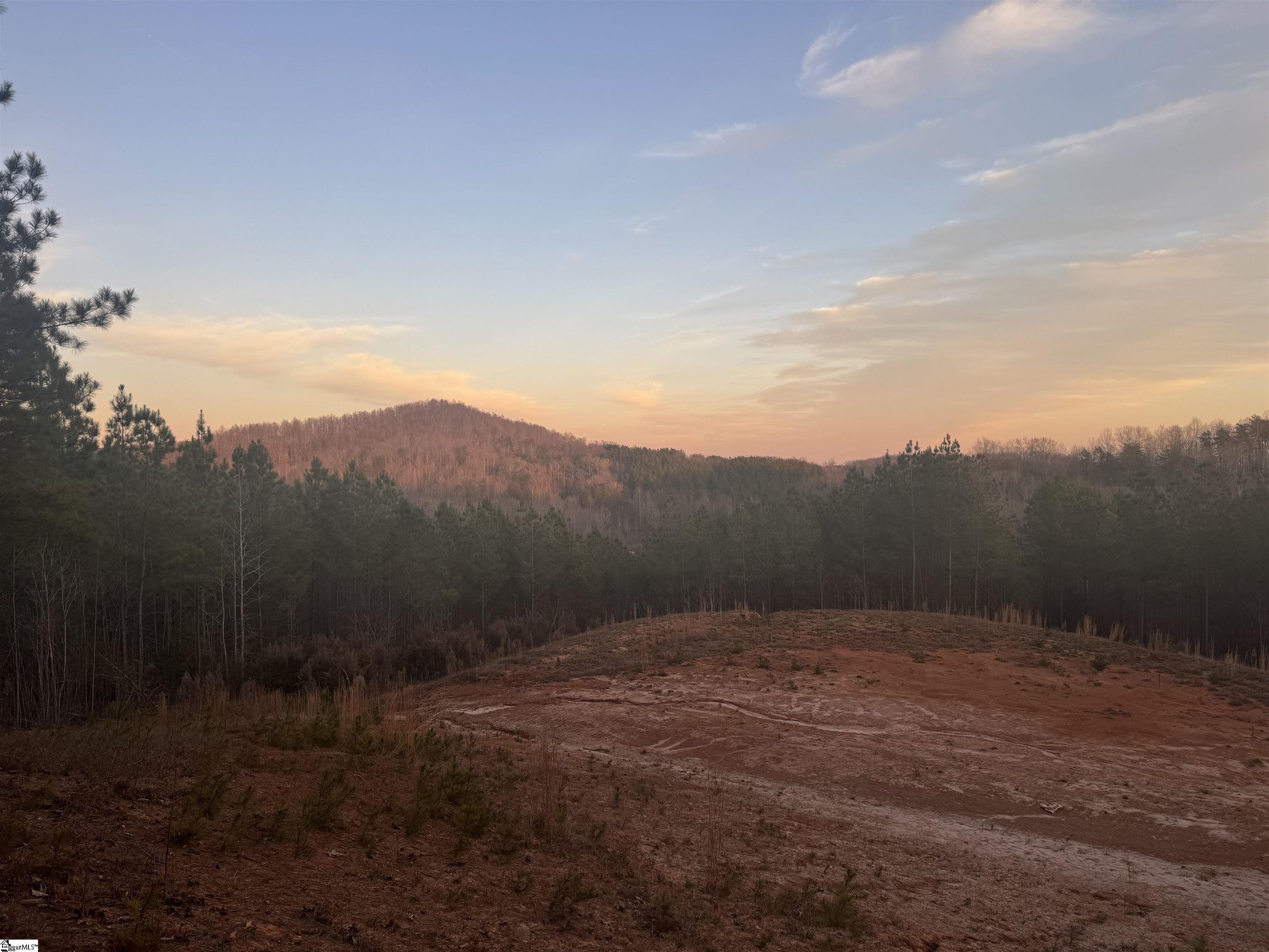 38 Old Plantation Road Travelers Rest, SC 29690