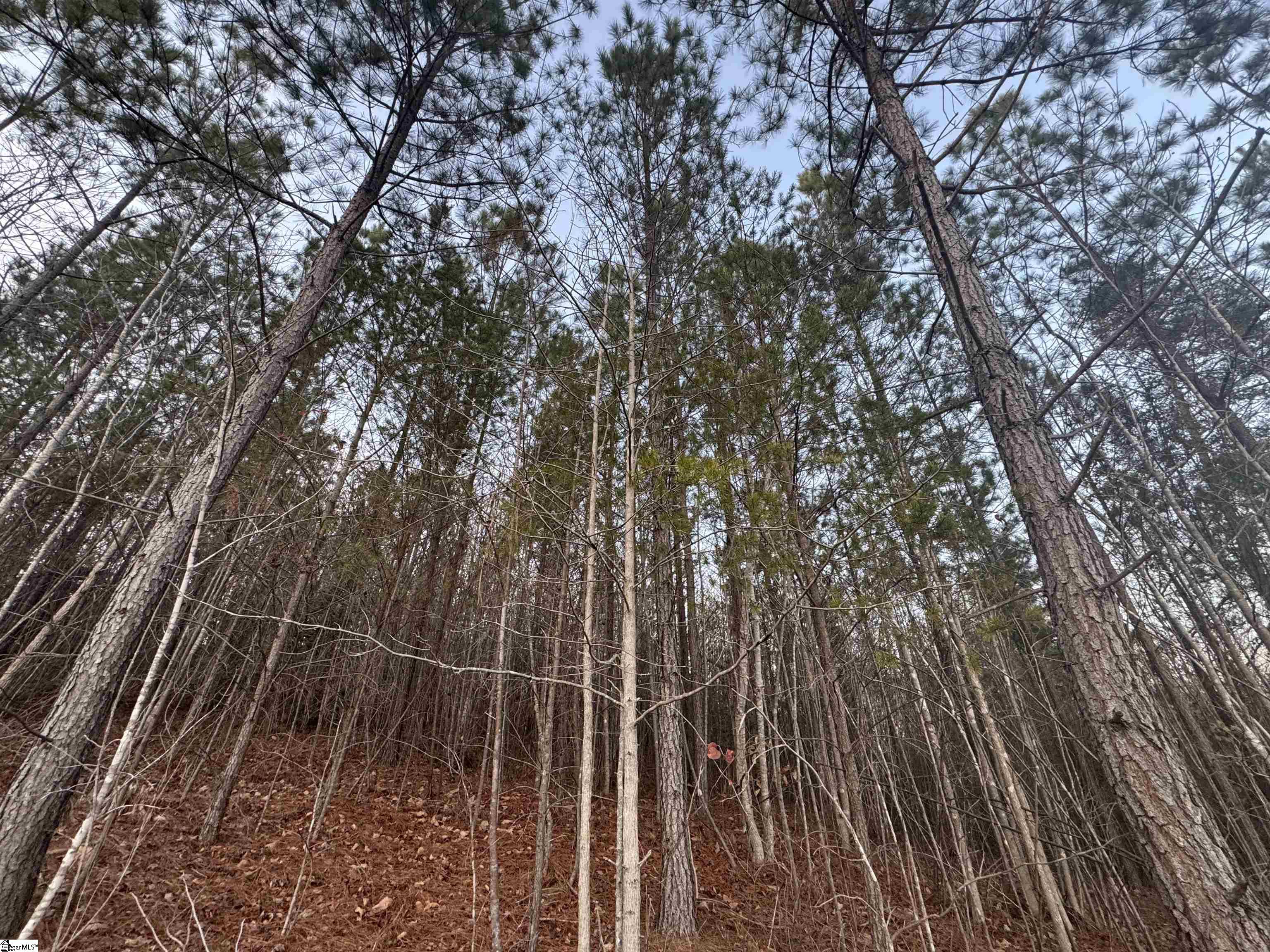 38 Old Plantation Road Travelers Rest, SC 29690
