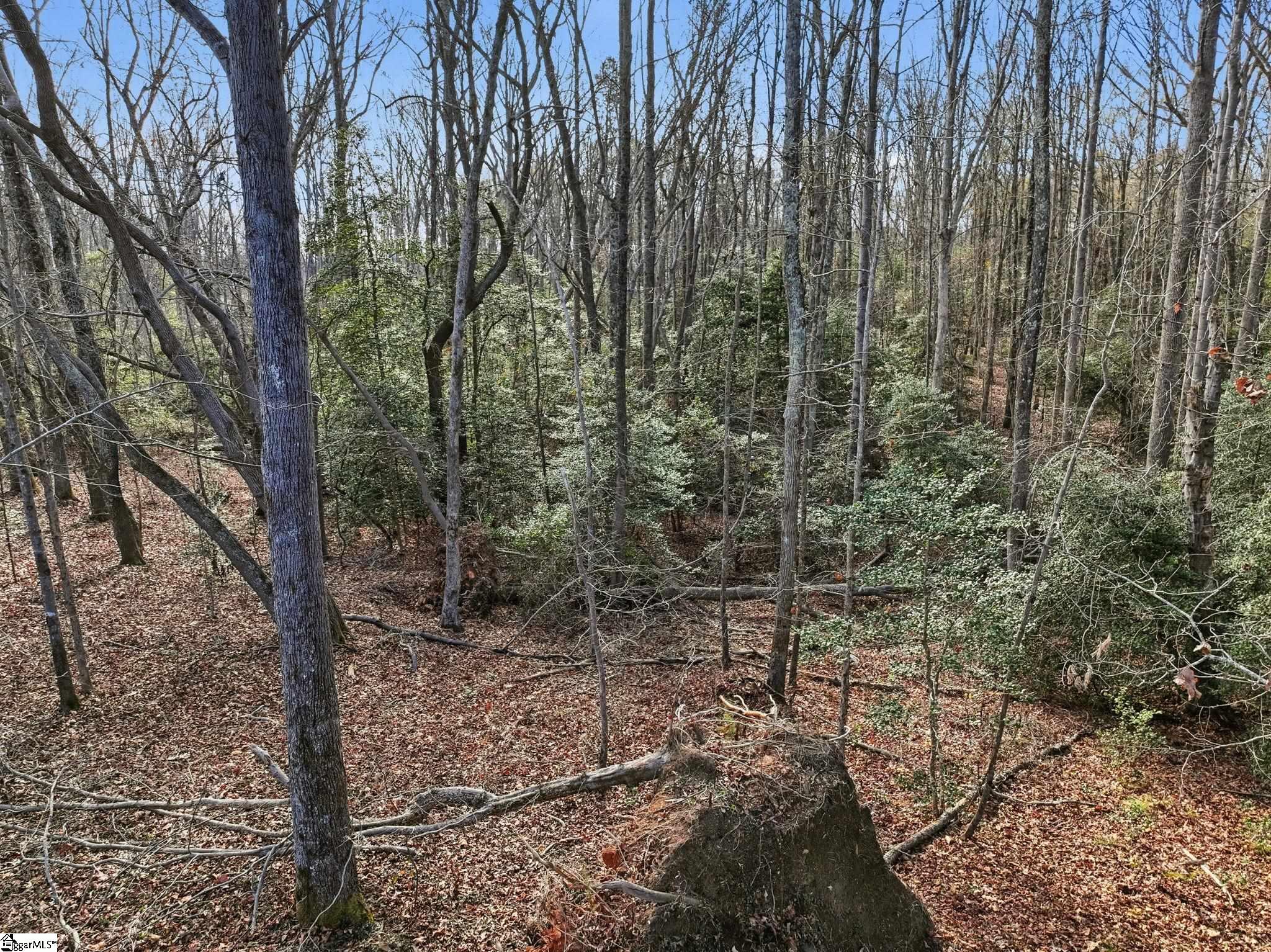 MLS #1577752 image #10