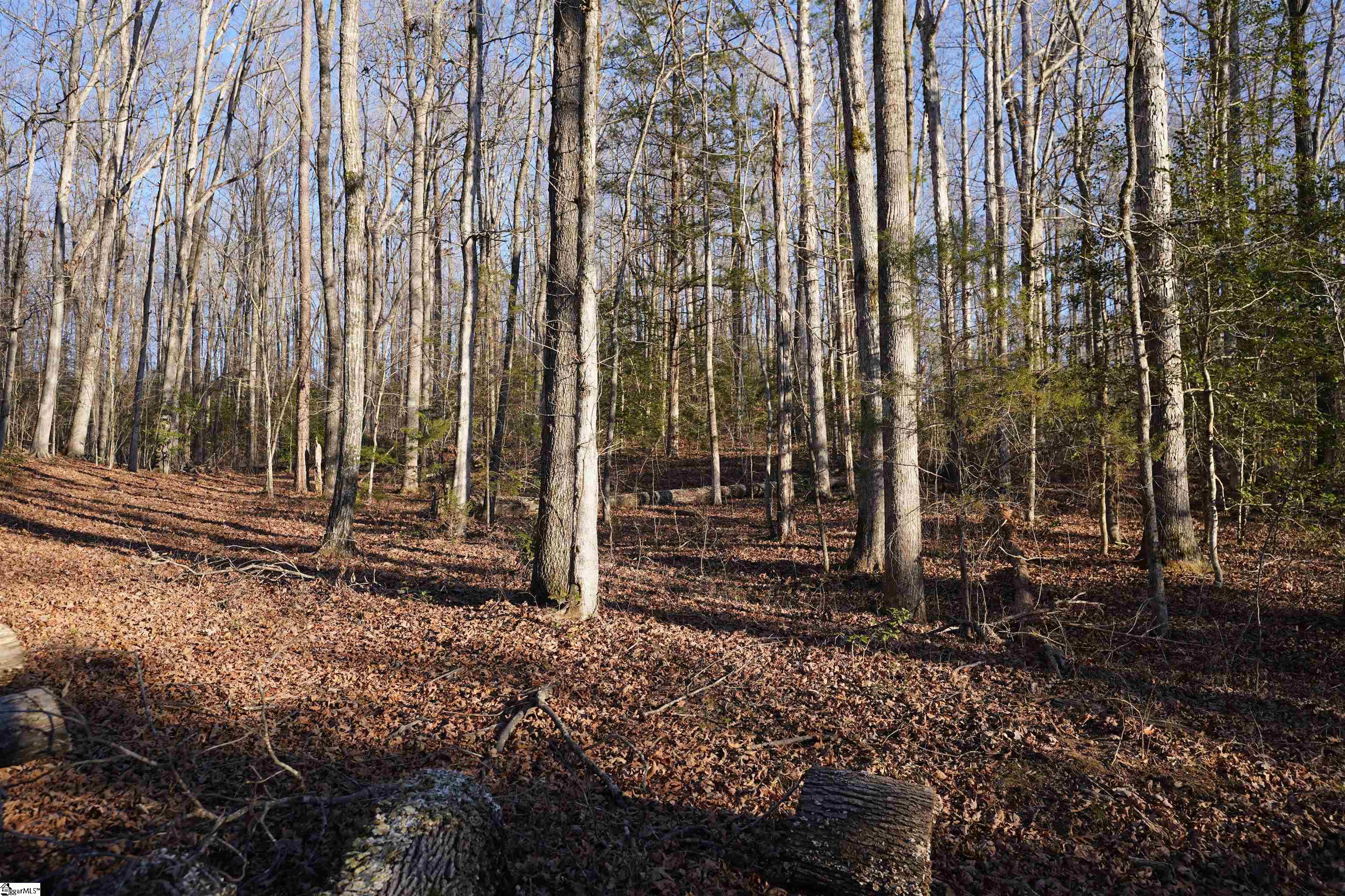 MLS #1577923 image #25