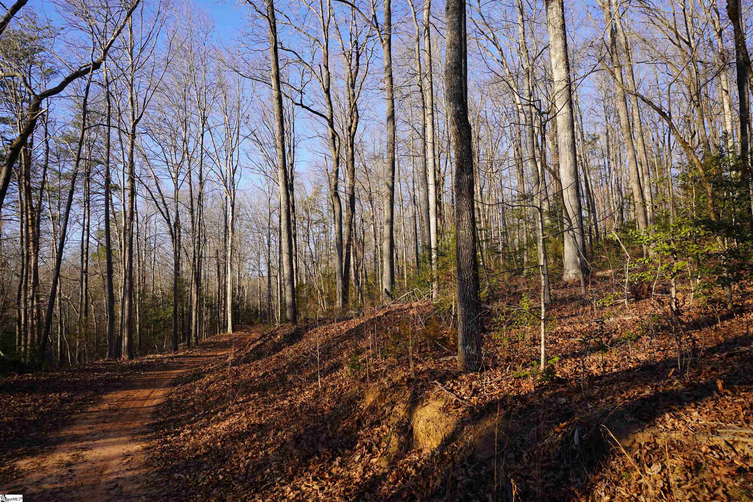 MLS #1577923 image #29