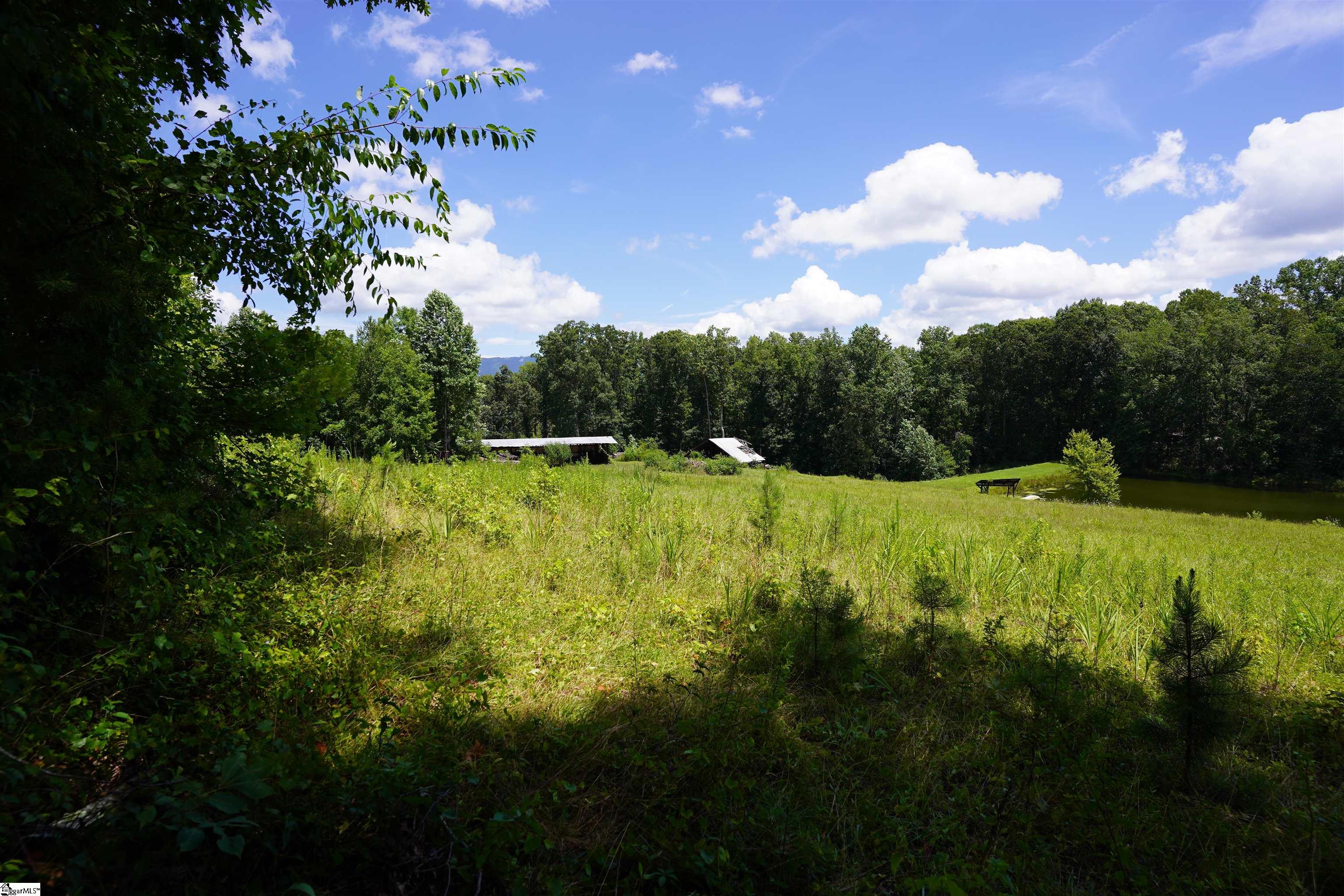 MLS #1577923 image #5