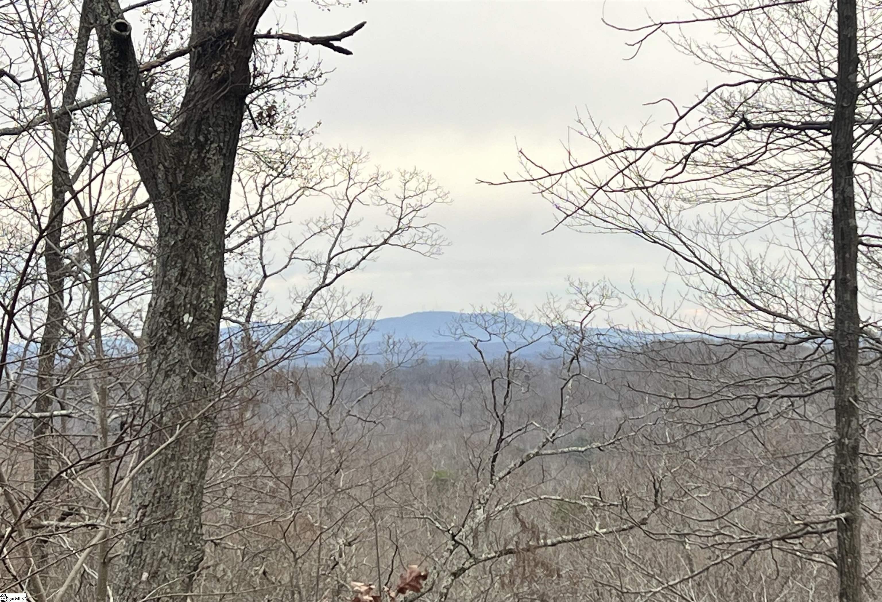 MLS #1578070 image #4