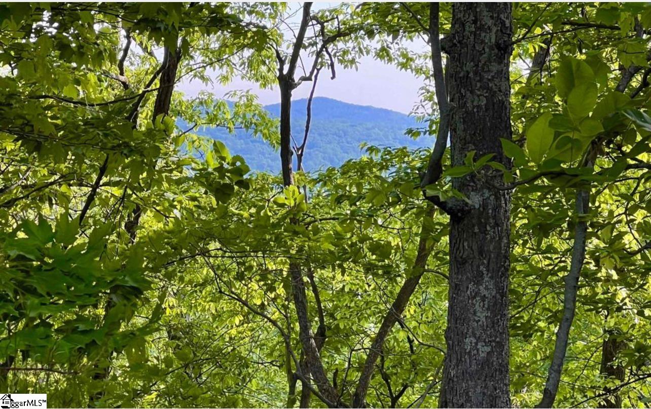 MLS #1578070 image #5