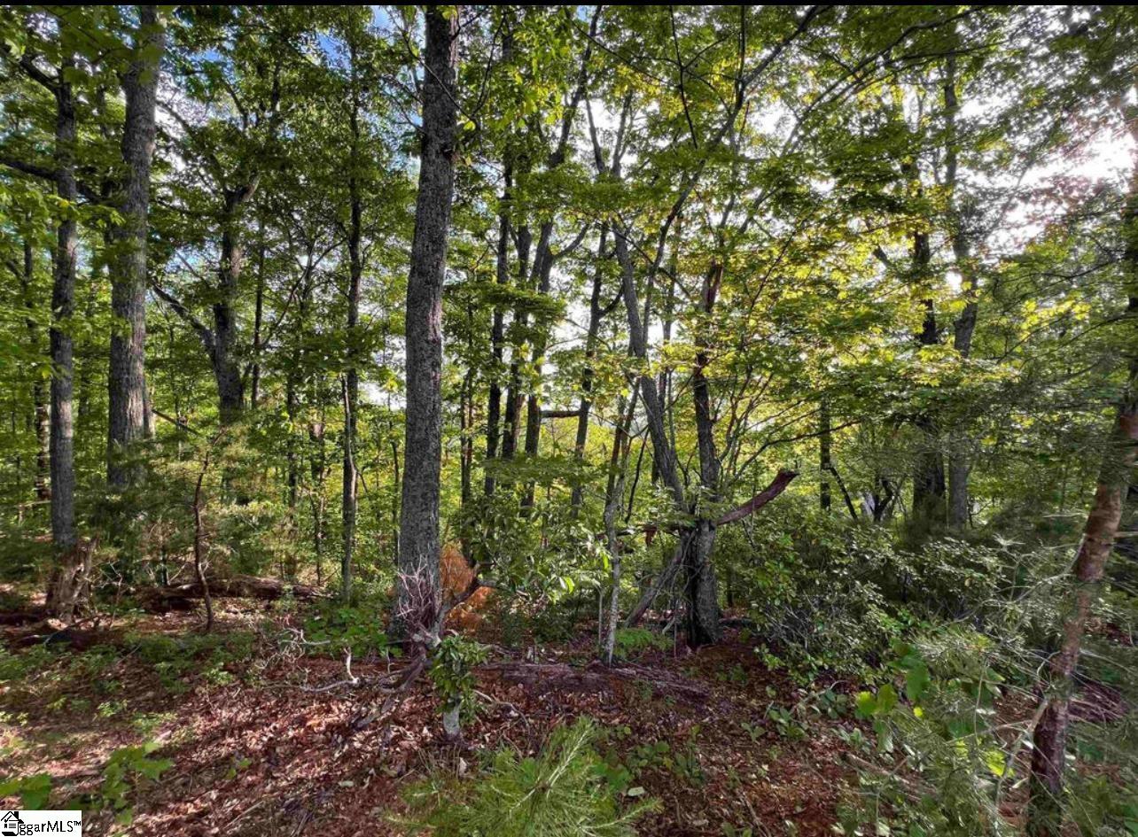 MLS #1578070 image #9