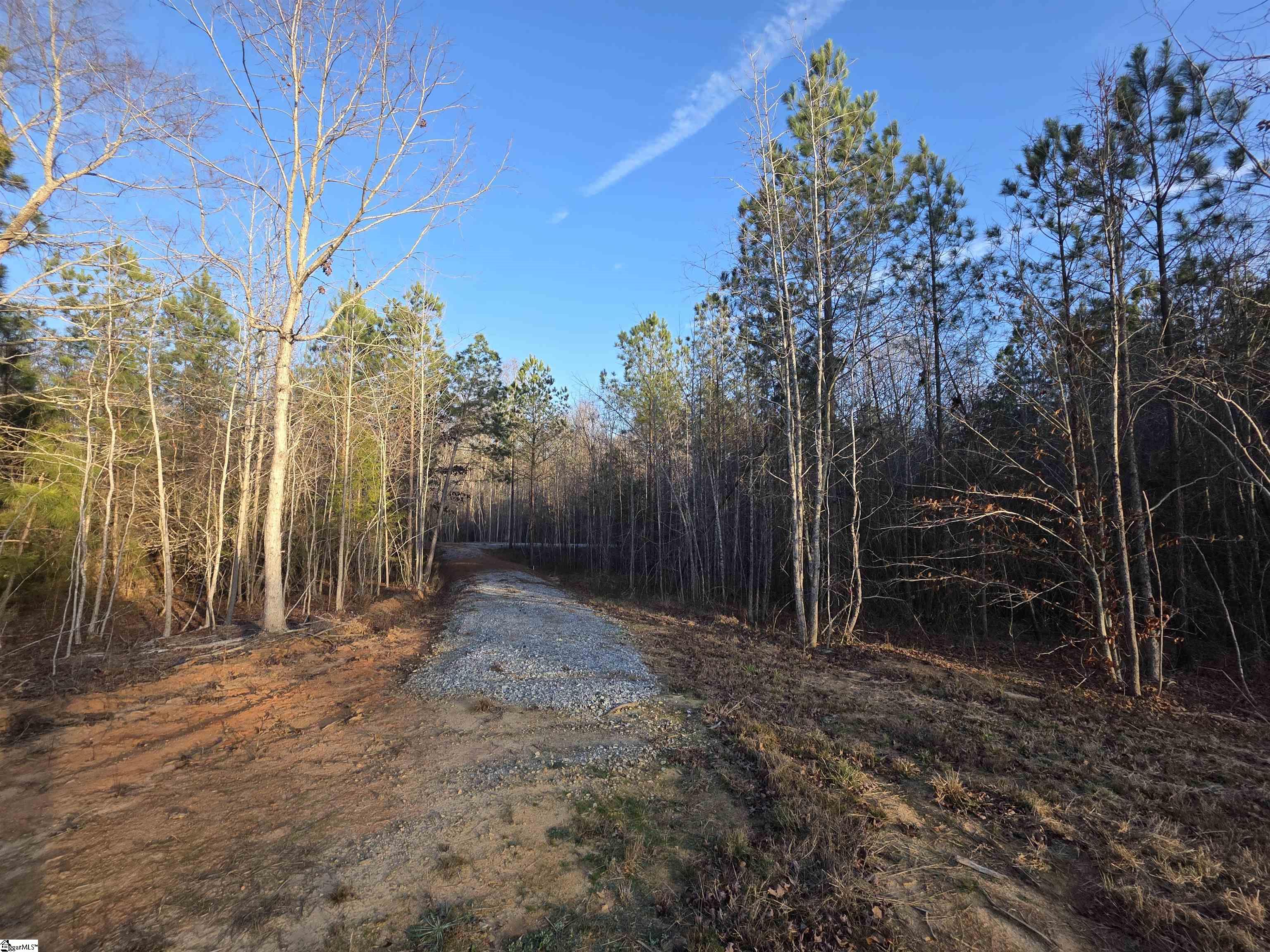 506 Trinity Church Road, Laurens SC 29360,Laurens,Laurens,Land