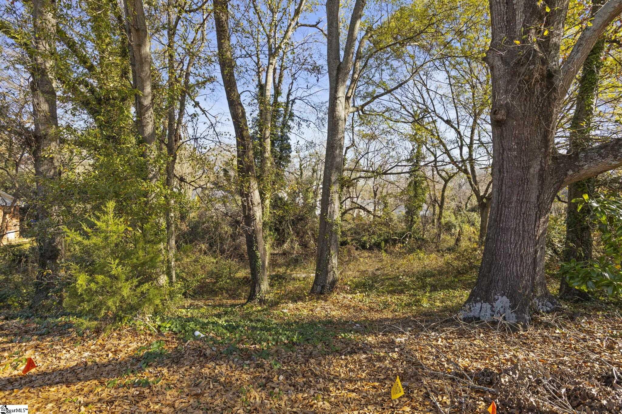 9 Quarter Court Greenville, FL 29607