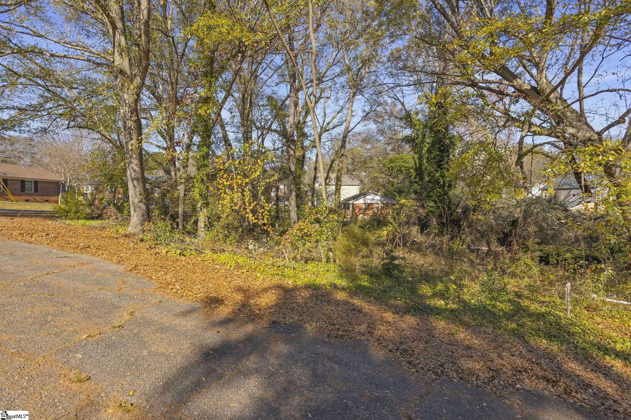 9 Quarter Court Greenville, FL 29607