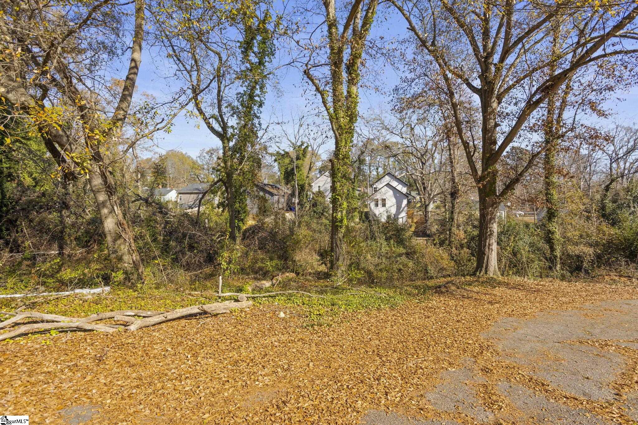 9 Quarter Court Greenville, FL 29607