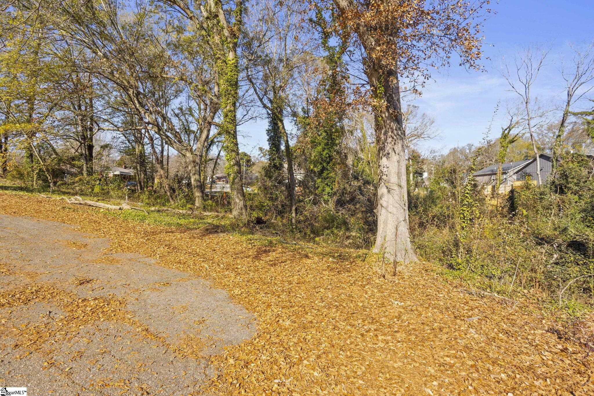 9 Quarter Court Greenville, FL 29607