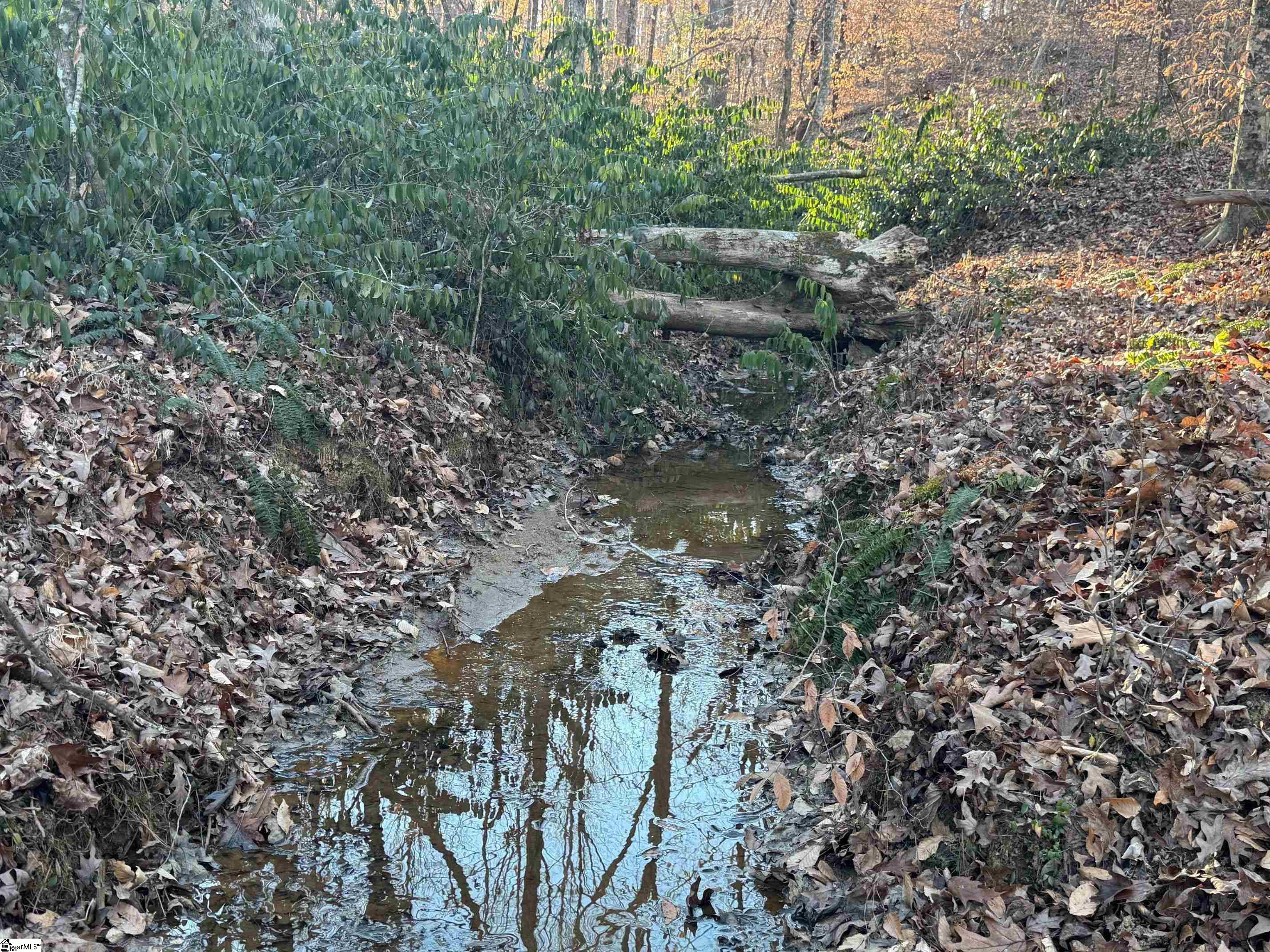 Homes for sale in Six Mile, SC | 230 Lakeside Dr, Six Mile, SC 29682 | MLS# 1579481