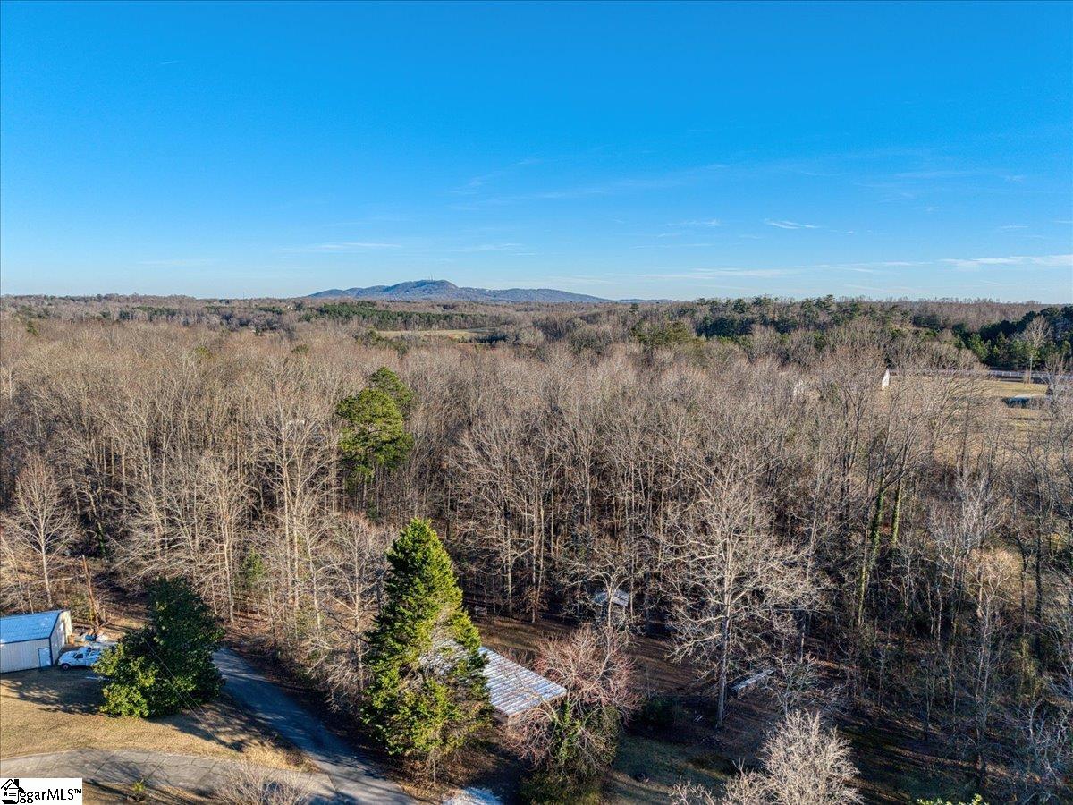 Homes for sale in Travelers Rest, SC | 20 Hudson Rd, Travelers Rest, SC 29690 | MLS# 1579861