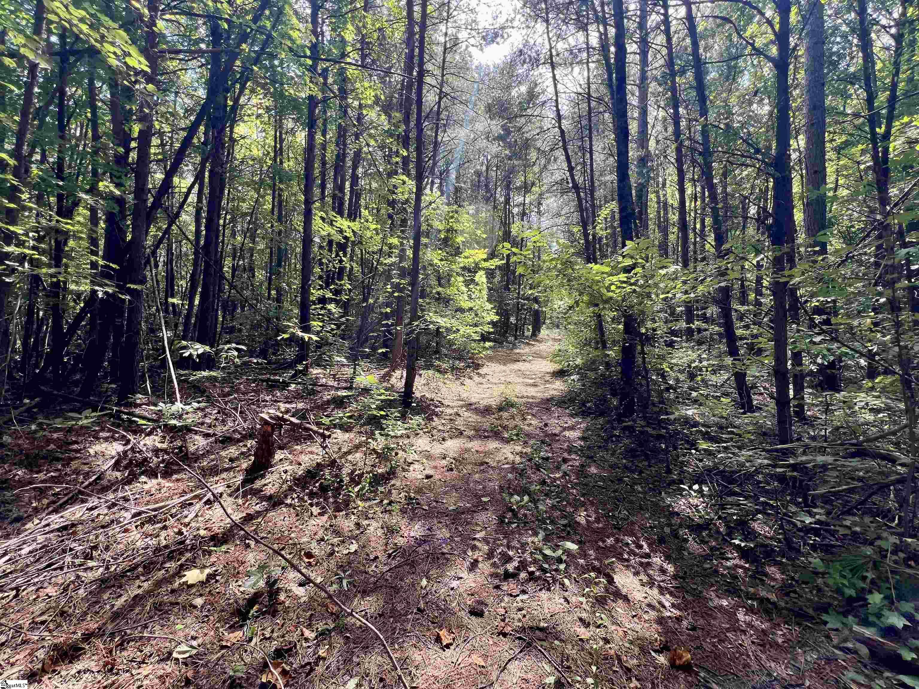 Chinquapin Road Travelers Rest, SC 29690