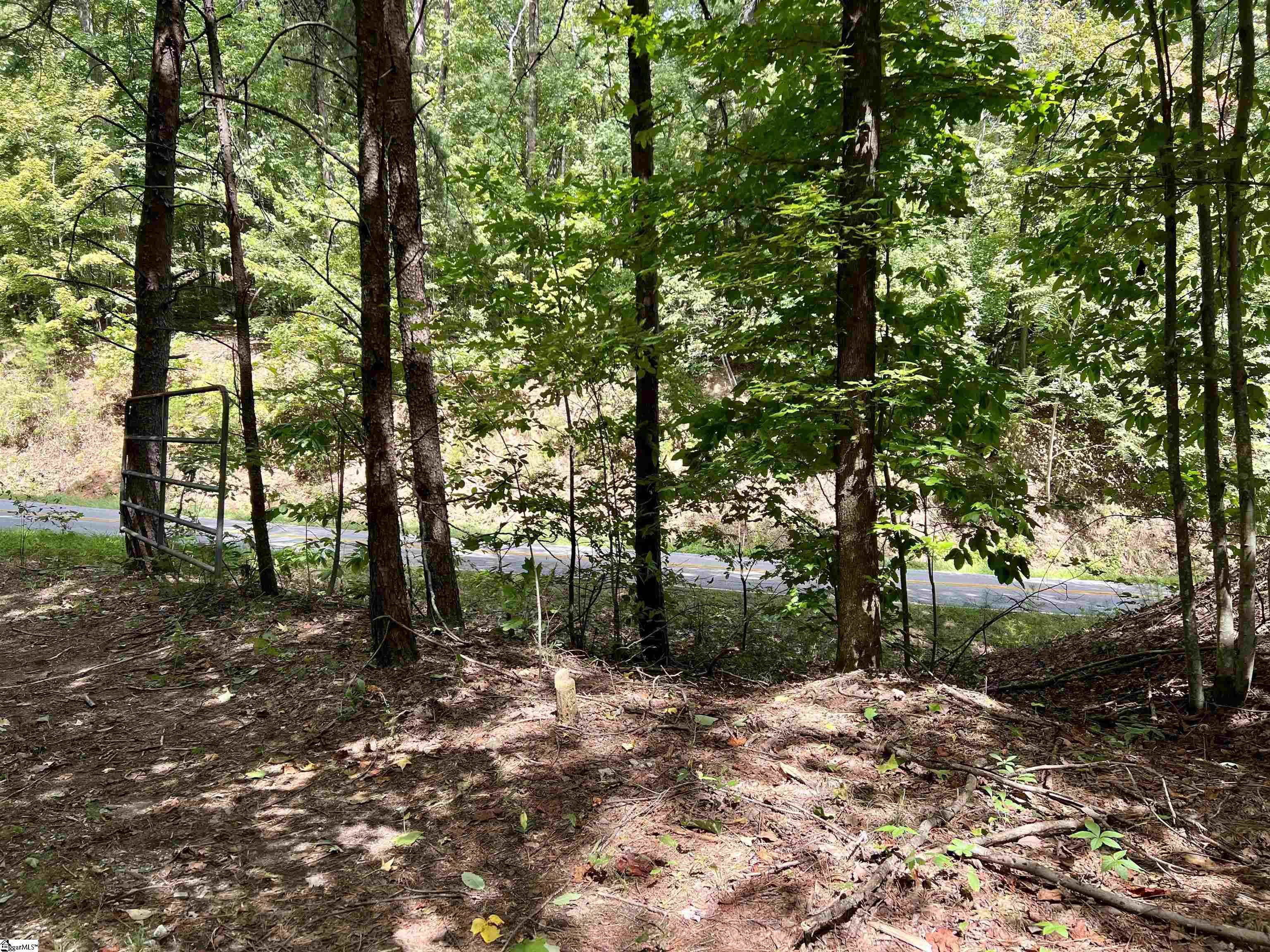 Chinquapin Road Travelers Rest, SC 29690
