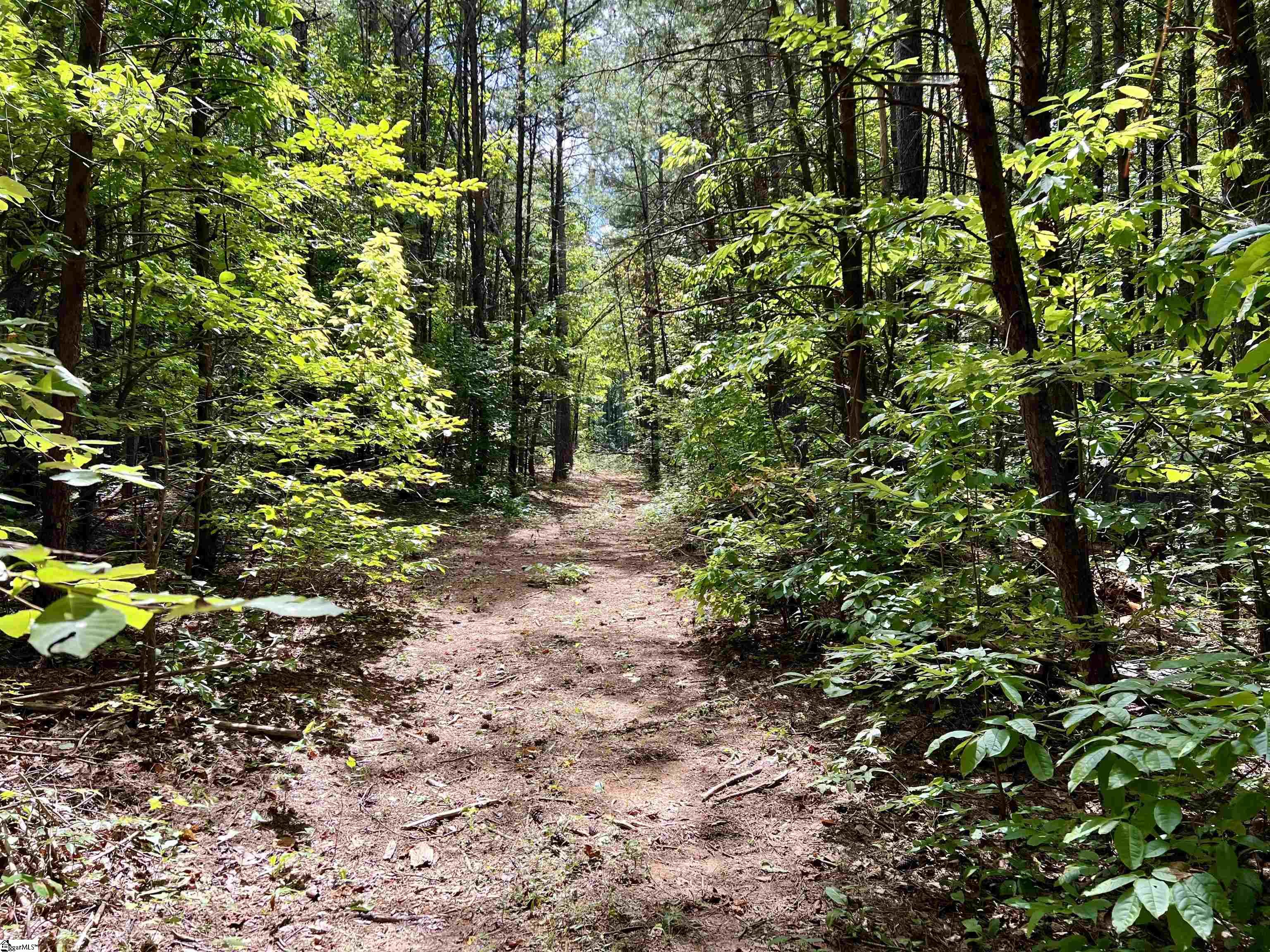 Chinquapin Road Travelers Rest, SC 29690