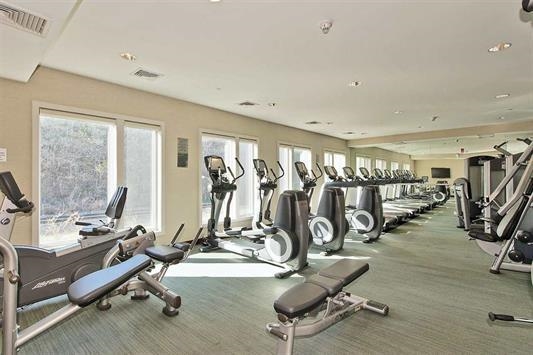 picture-gallery