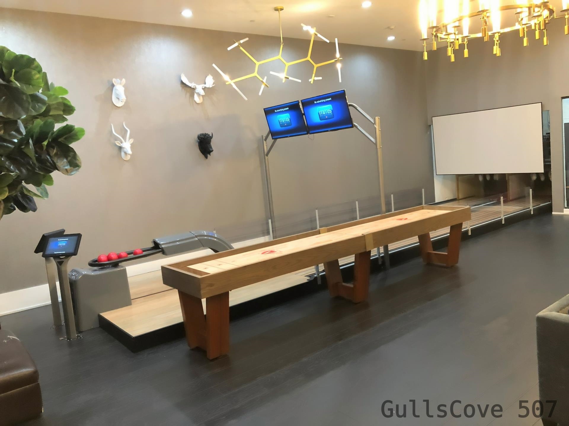 picture-gallery