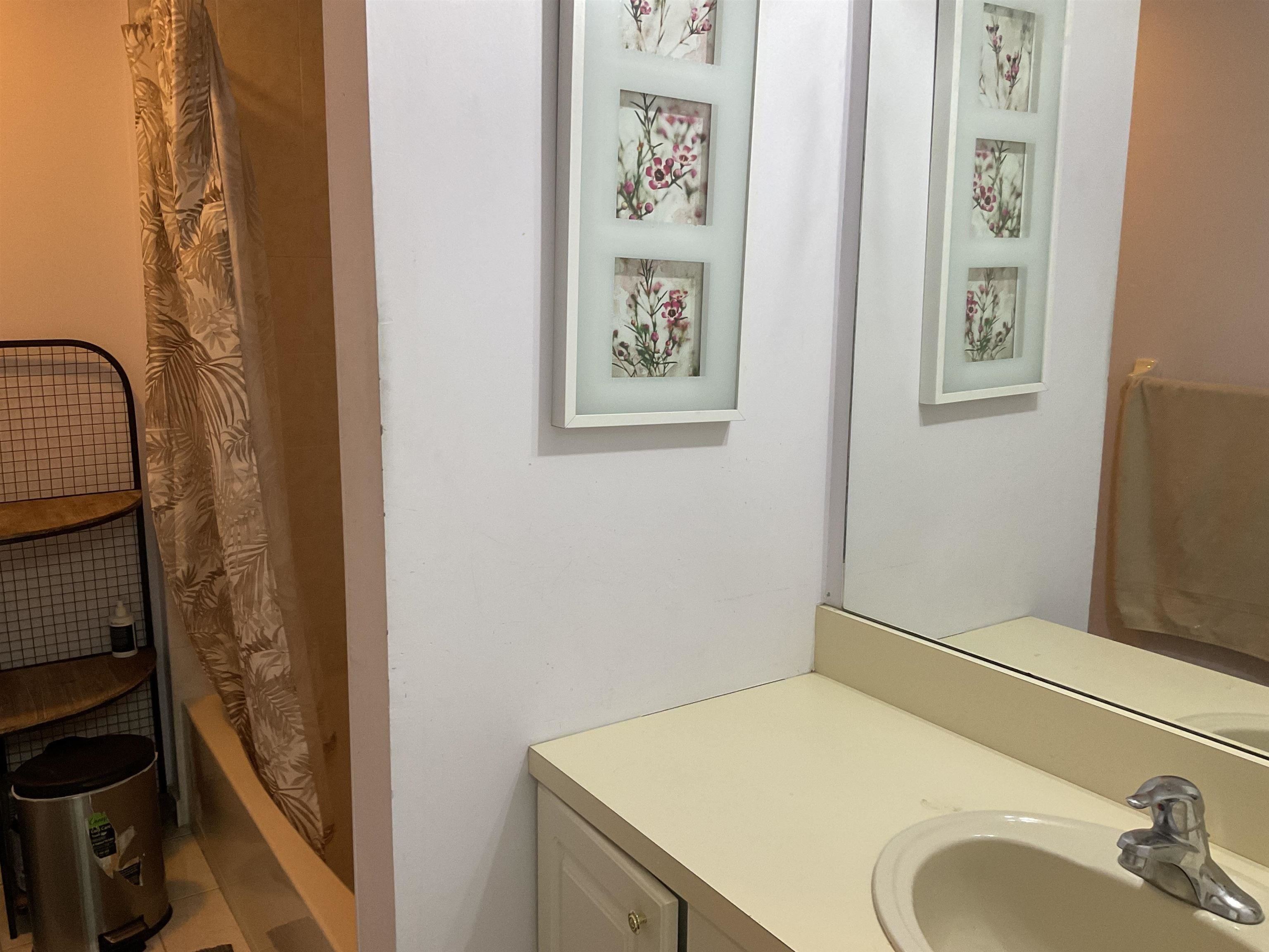 picture-gallery