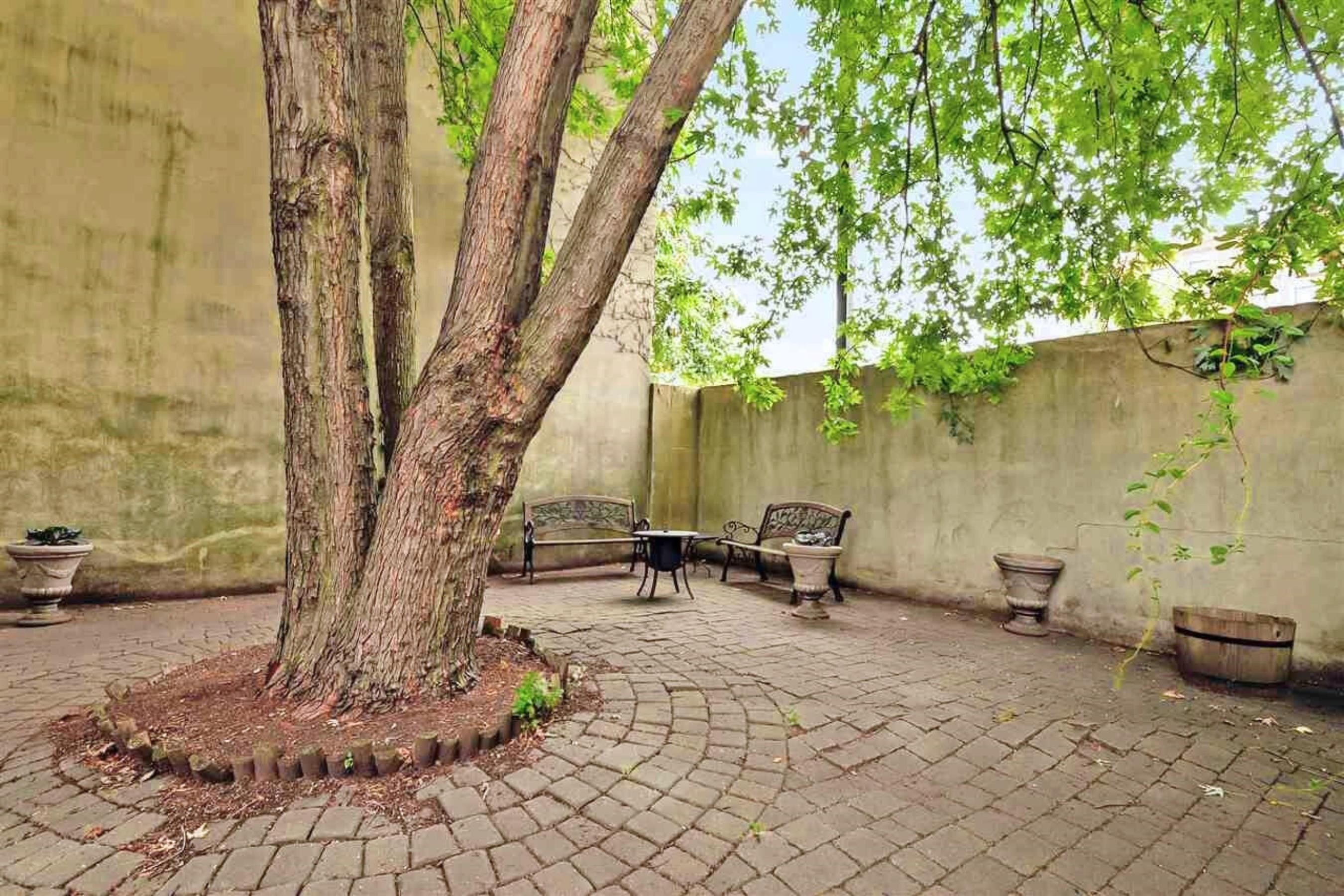 picture-gallery
