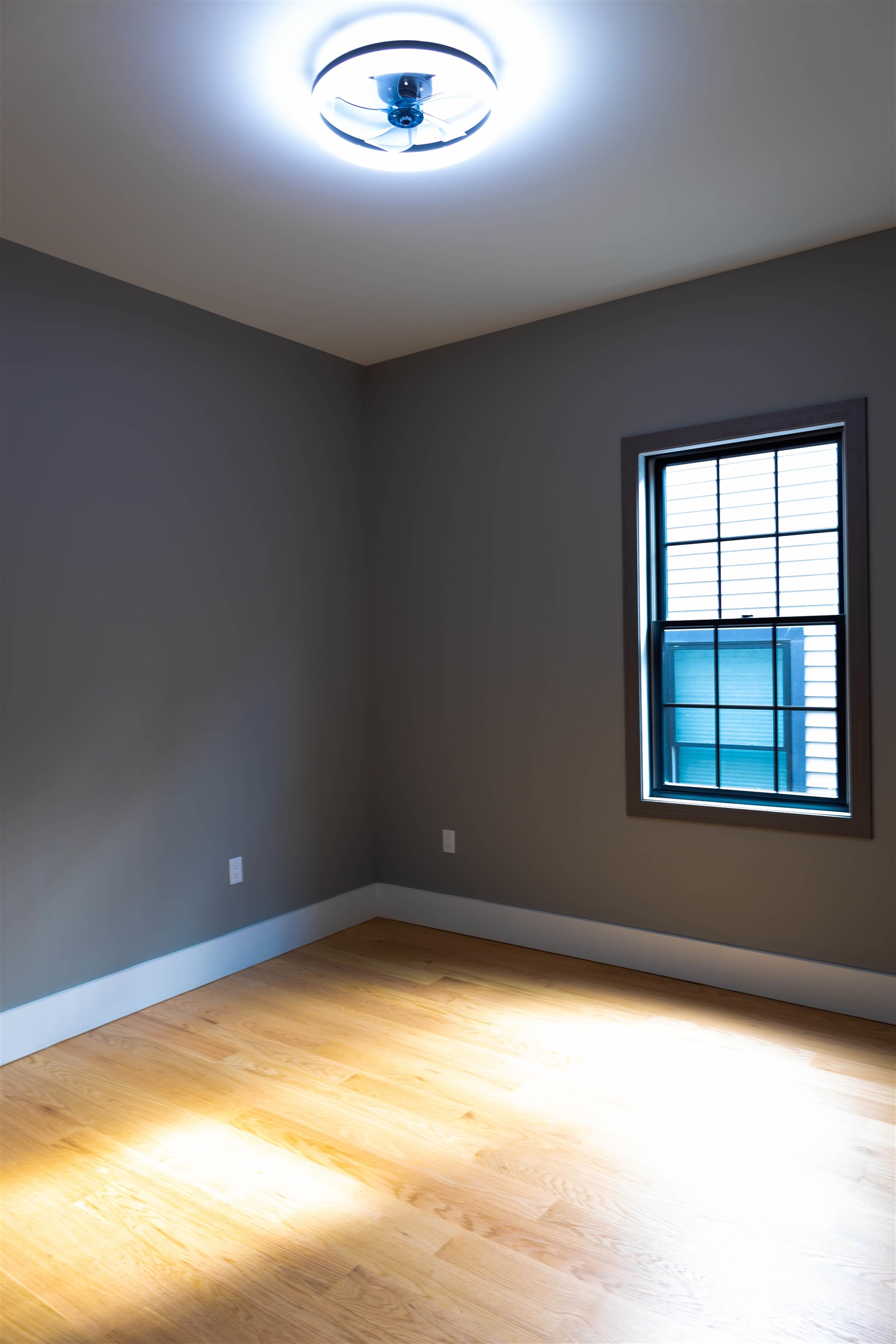 picture-gallery