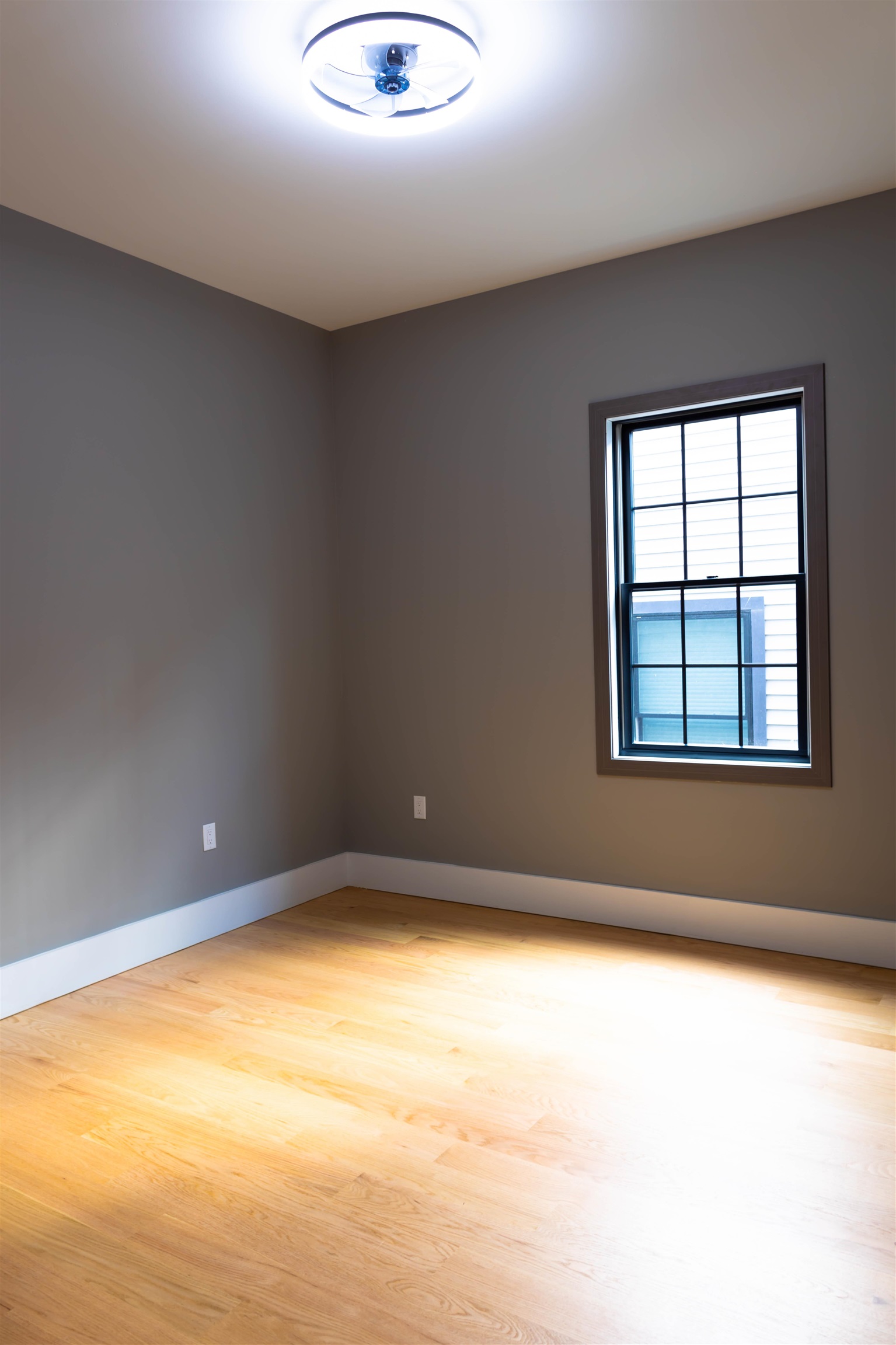 picture-gallery