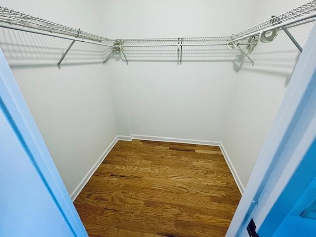 picture-gallery