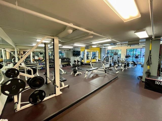 picture-gallery